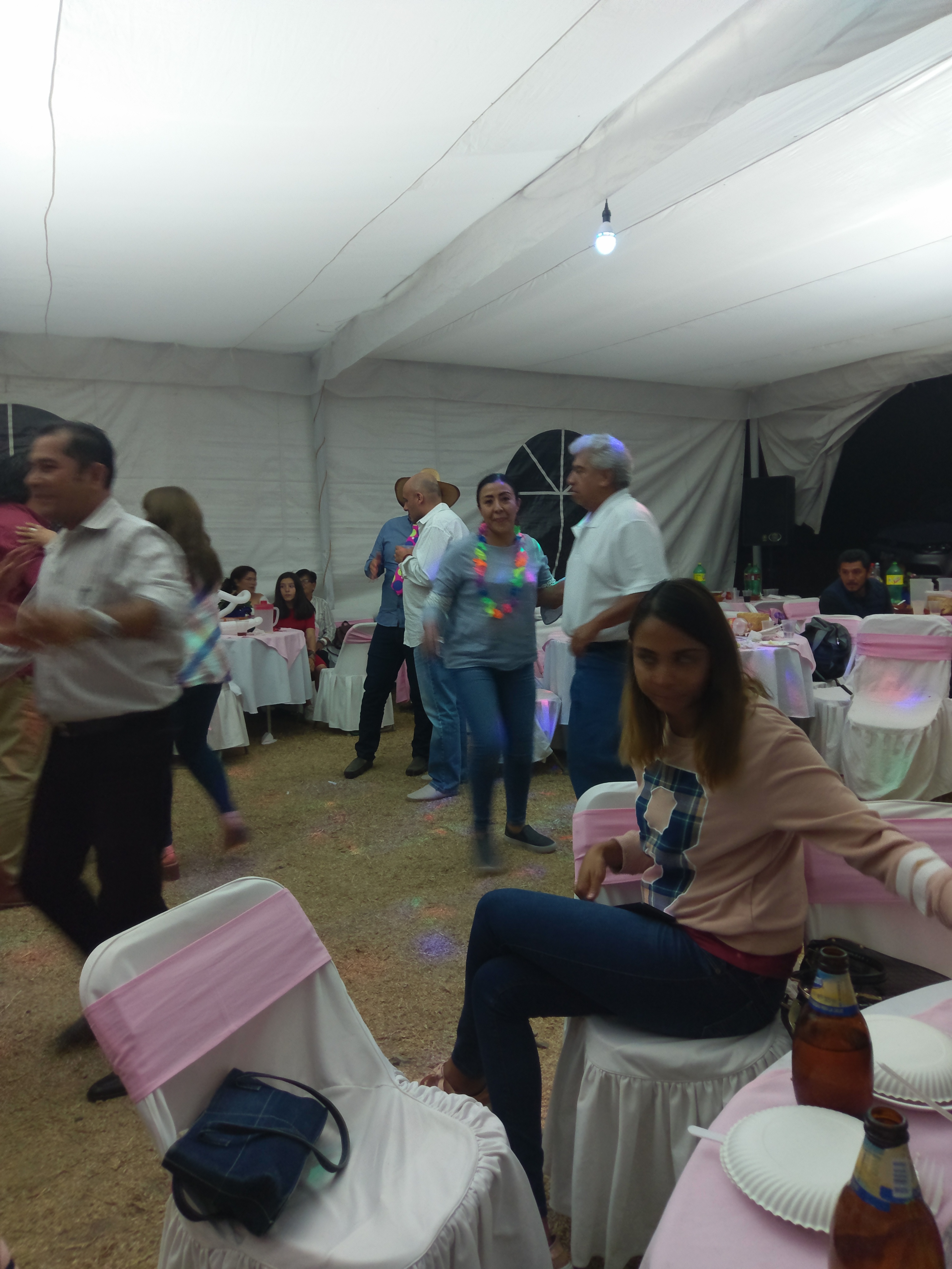 Jardin del yerno image 7