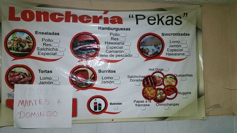 Loncheria pekas image 6