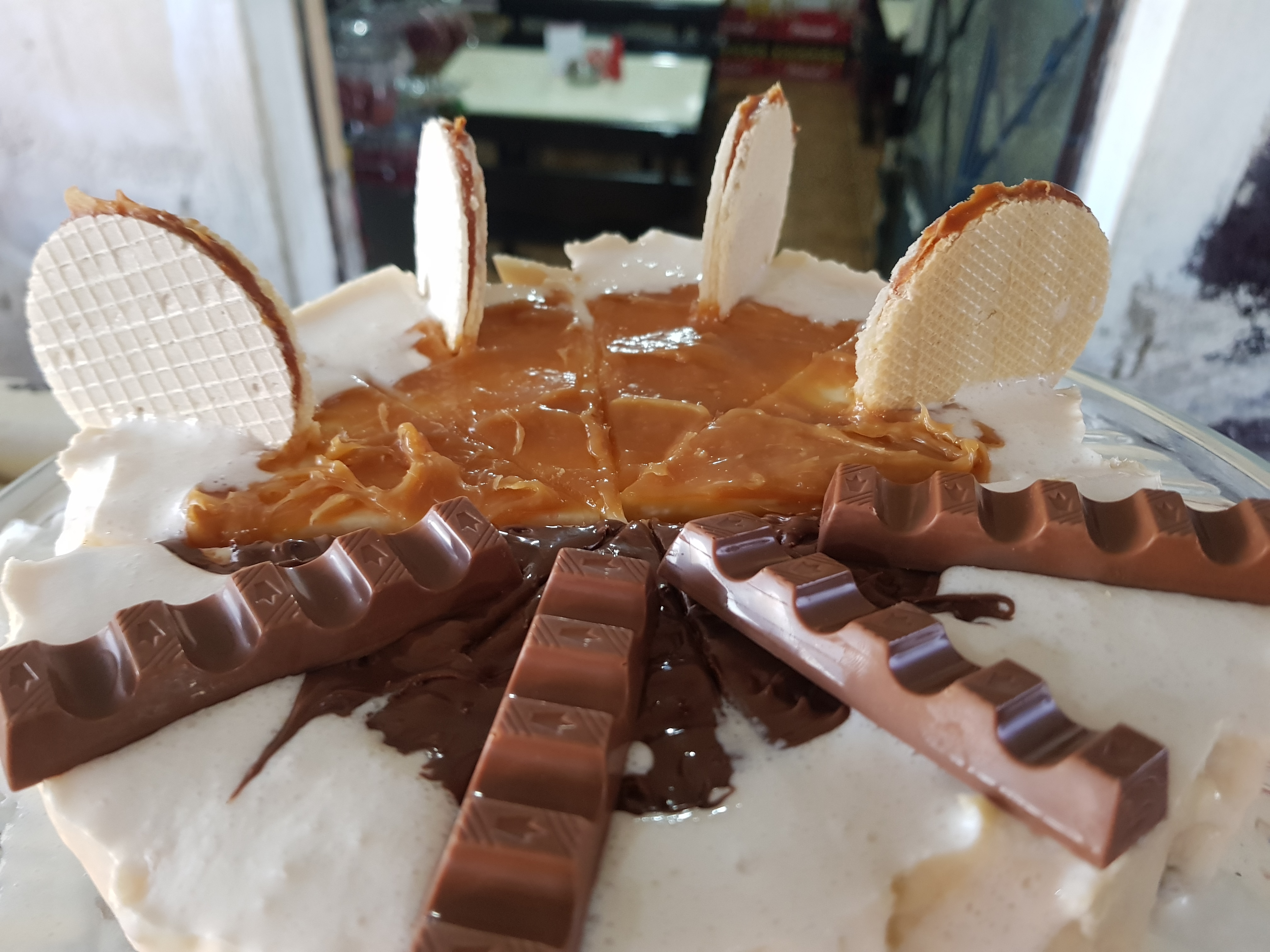 Loncheria pekas image 7