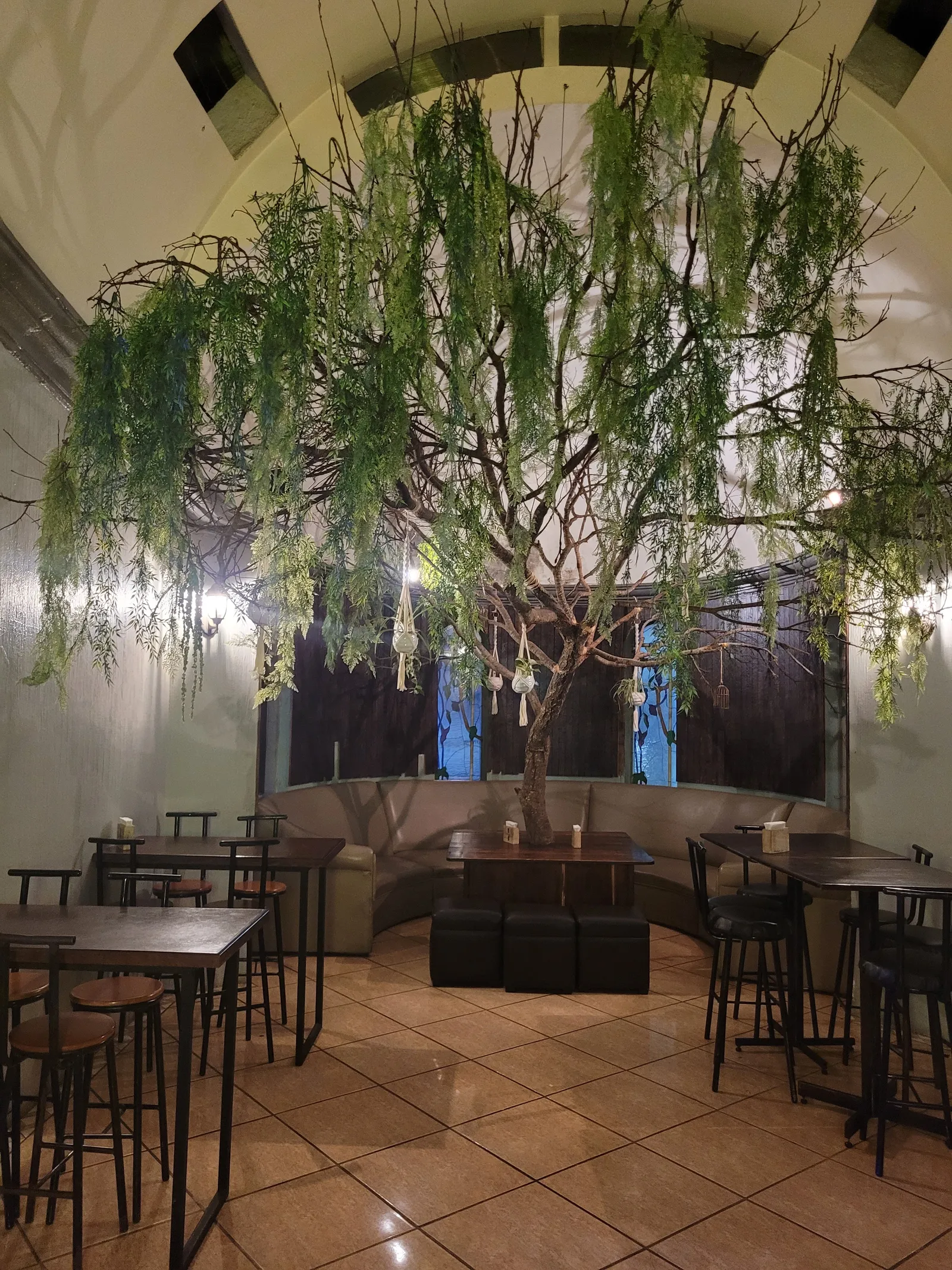 Terra Bar image 3
