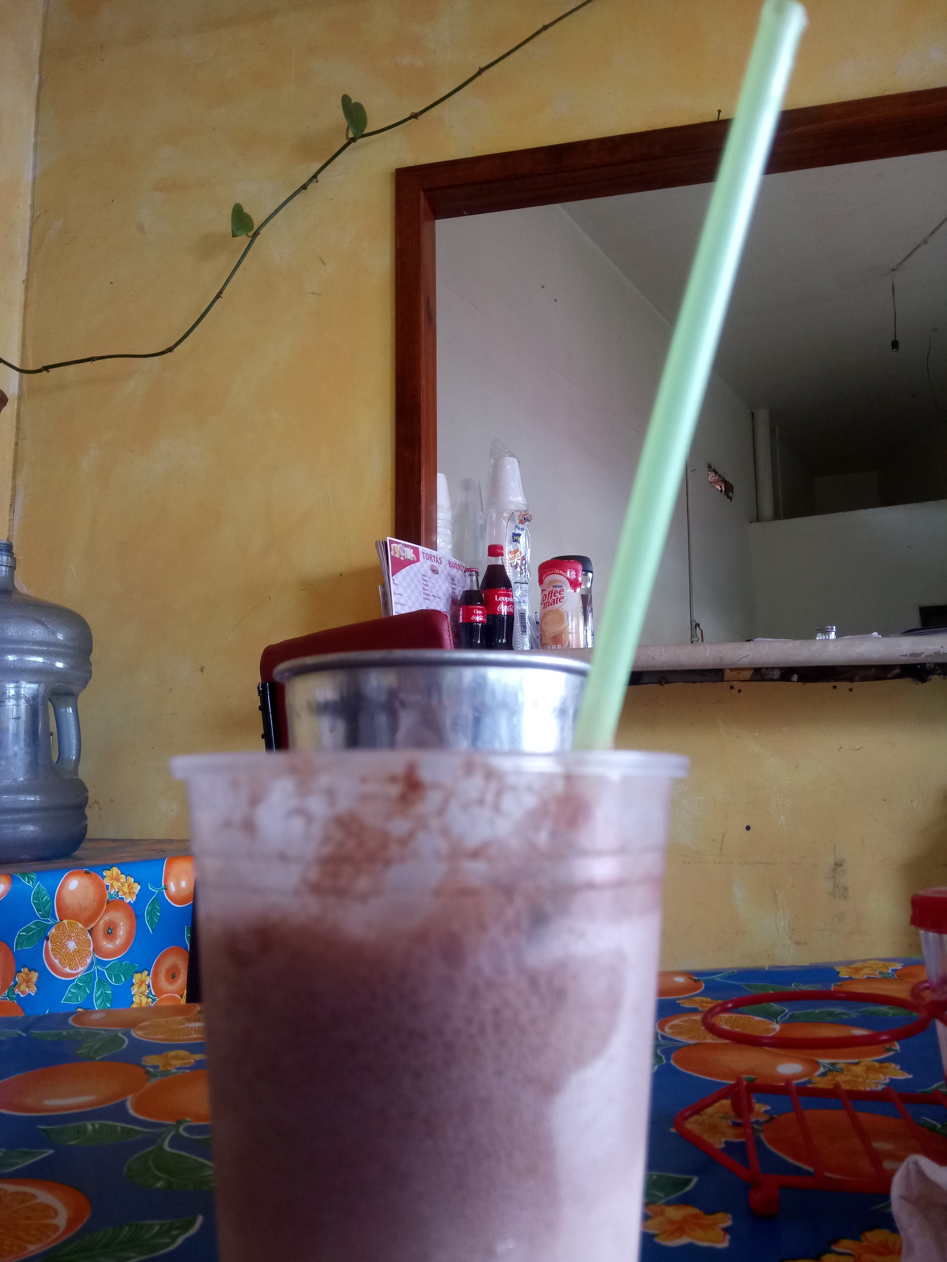 Loncheria Cata image 6