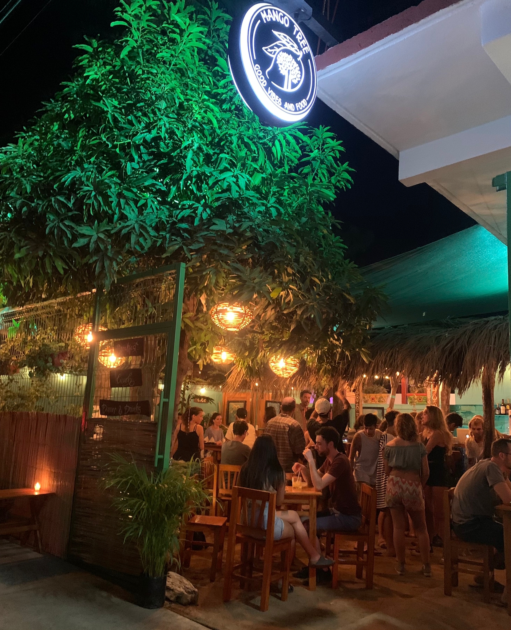 Mango Tree puerto escondido image 4