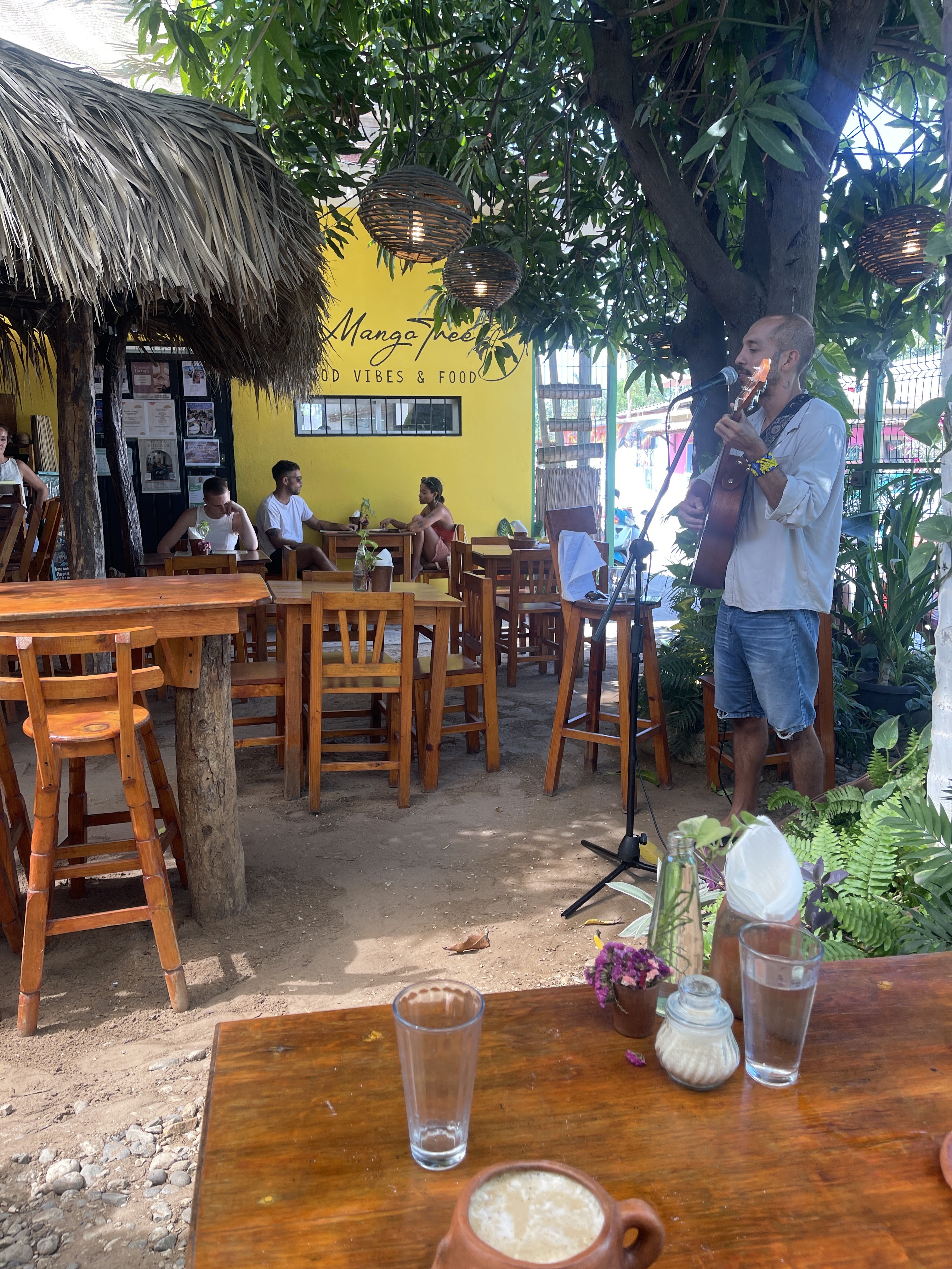 Mango Tree puerto escondido image 5