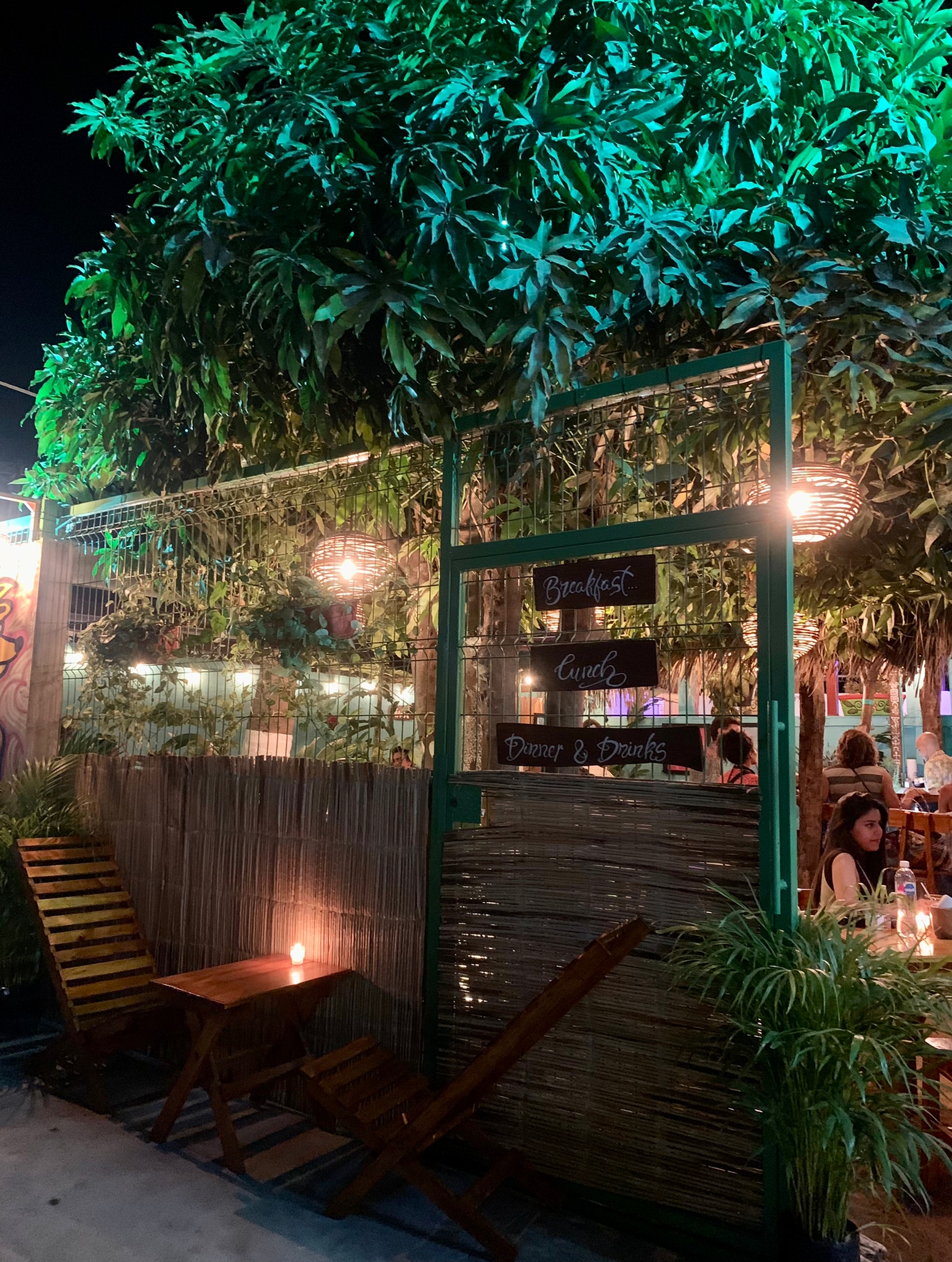 Mango Tree puerto escondido image 6