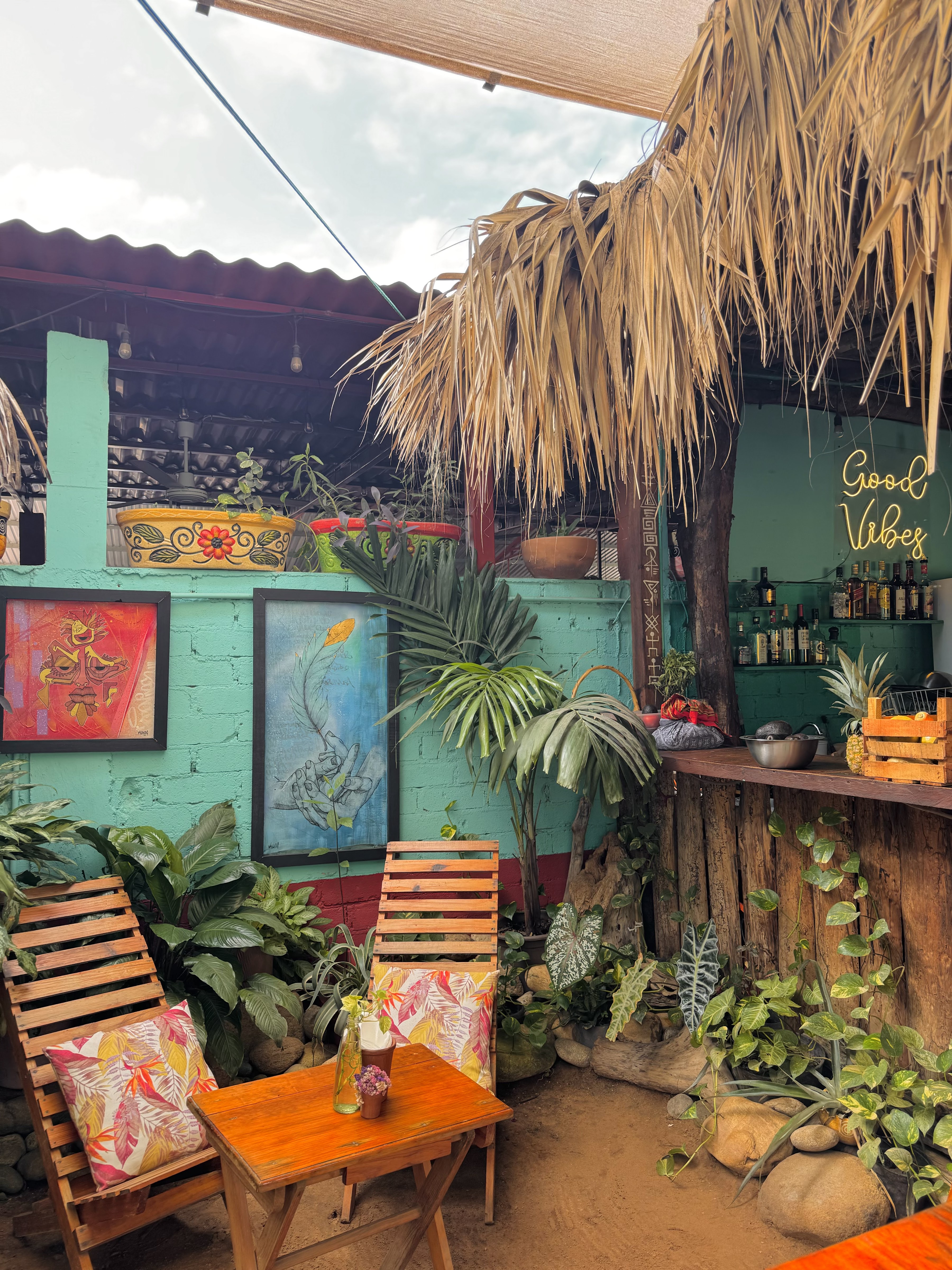 Mango Tree puerto escondido image 7