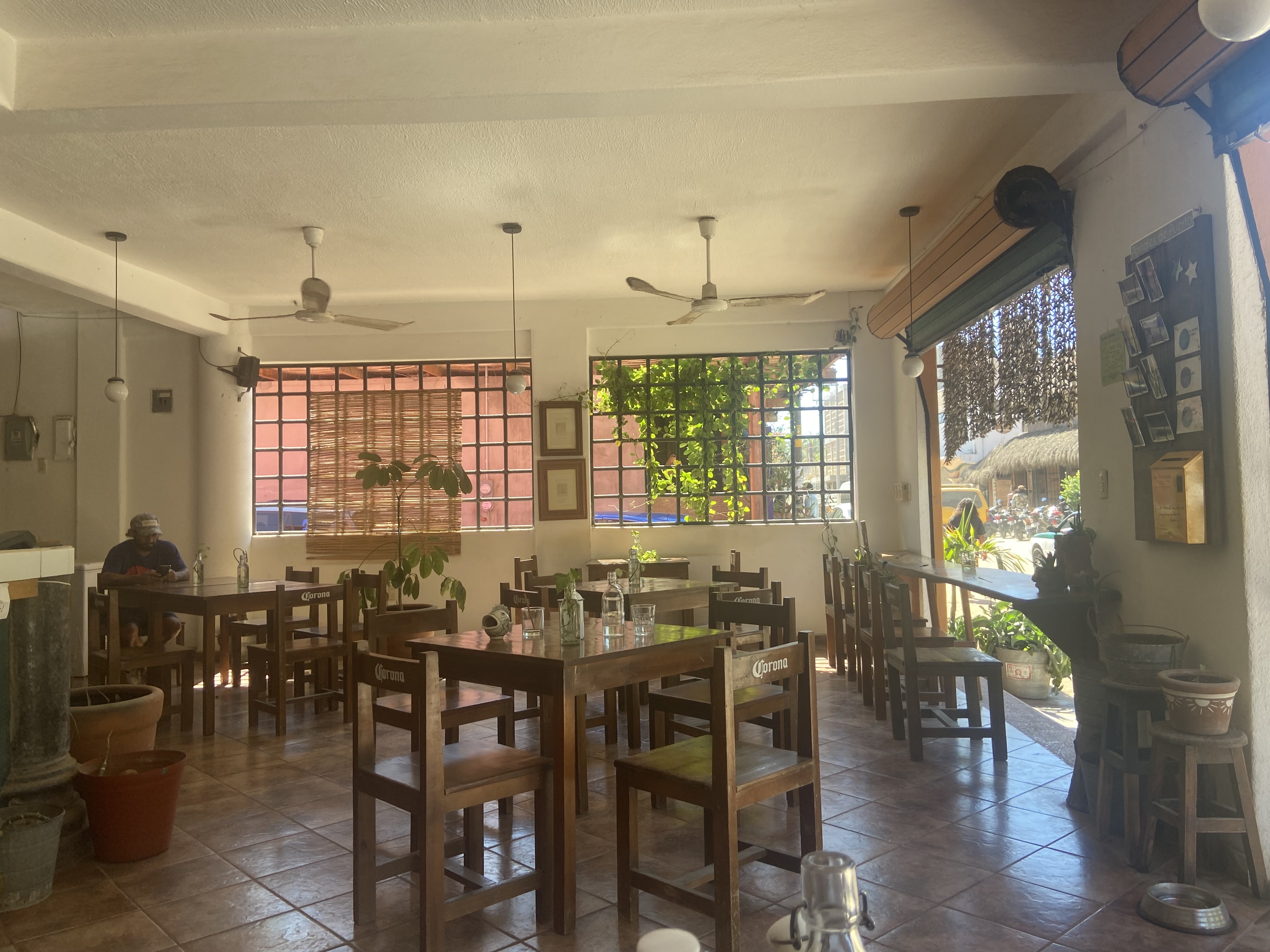 Sativa La Punta image 4