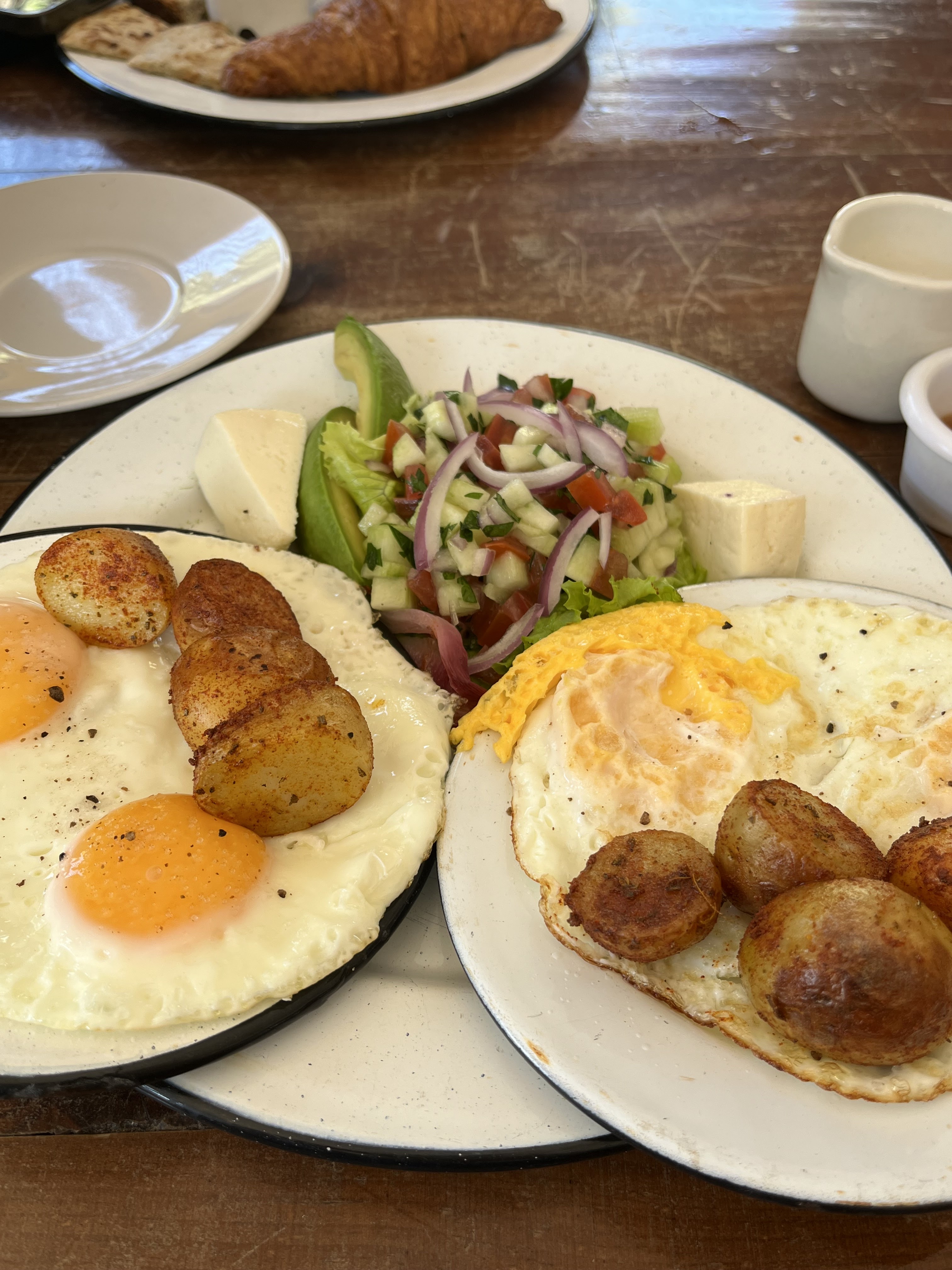 Sativa La Punta image 5