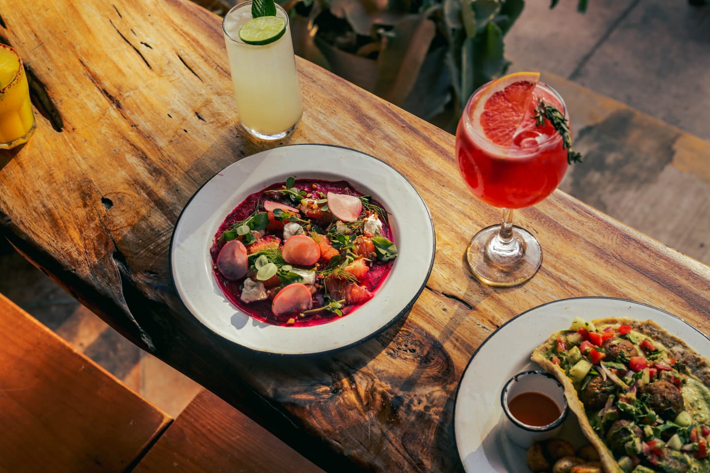 Sativa La Punta image 10