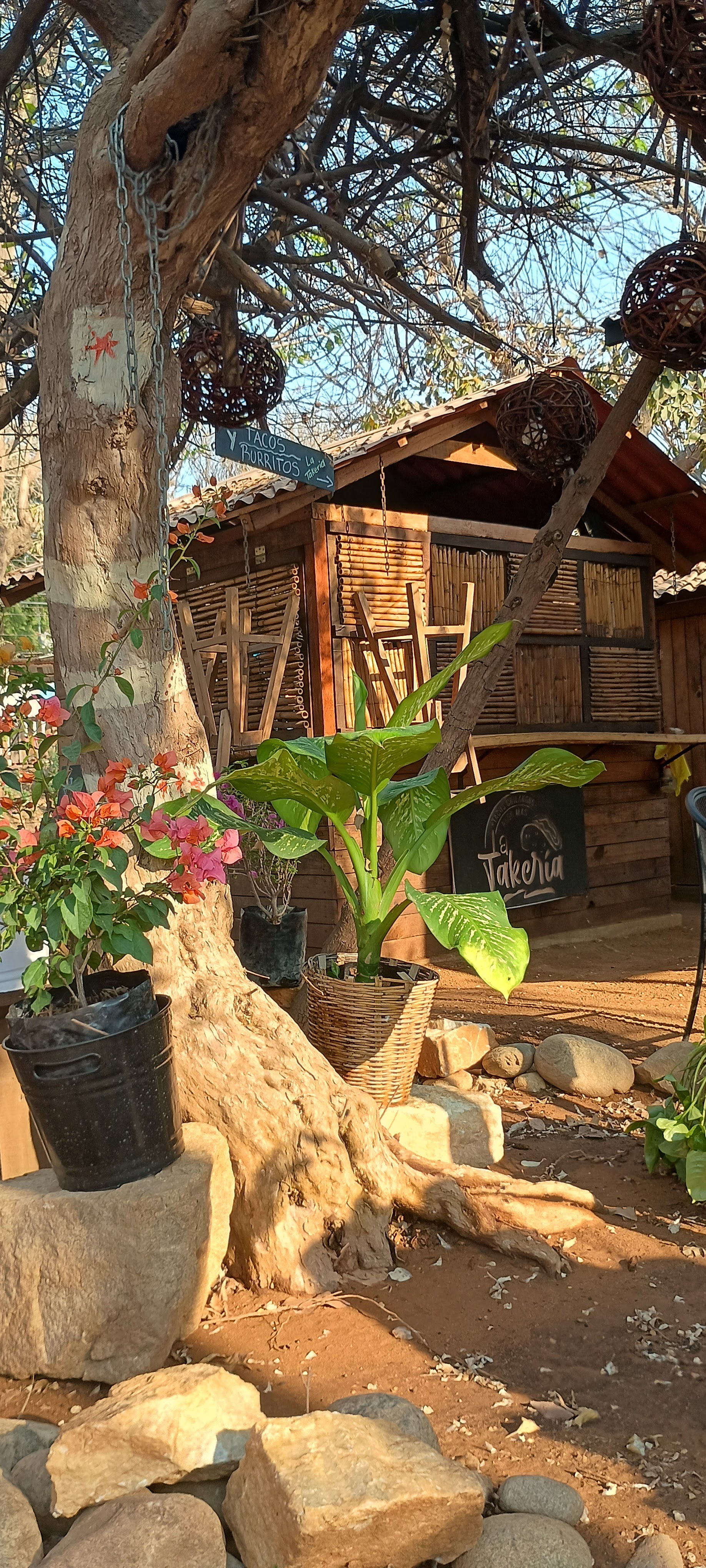 Tacos "LA TAKERIA" image 4