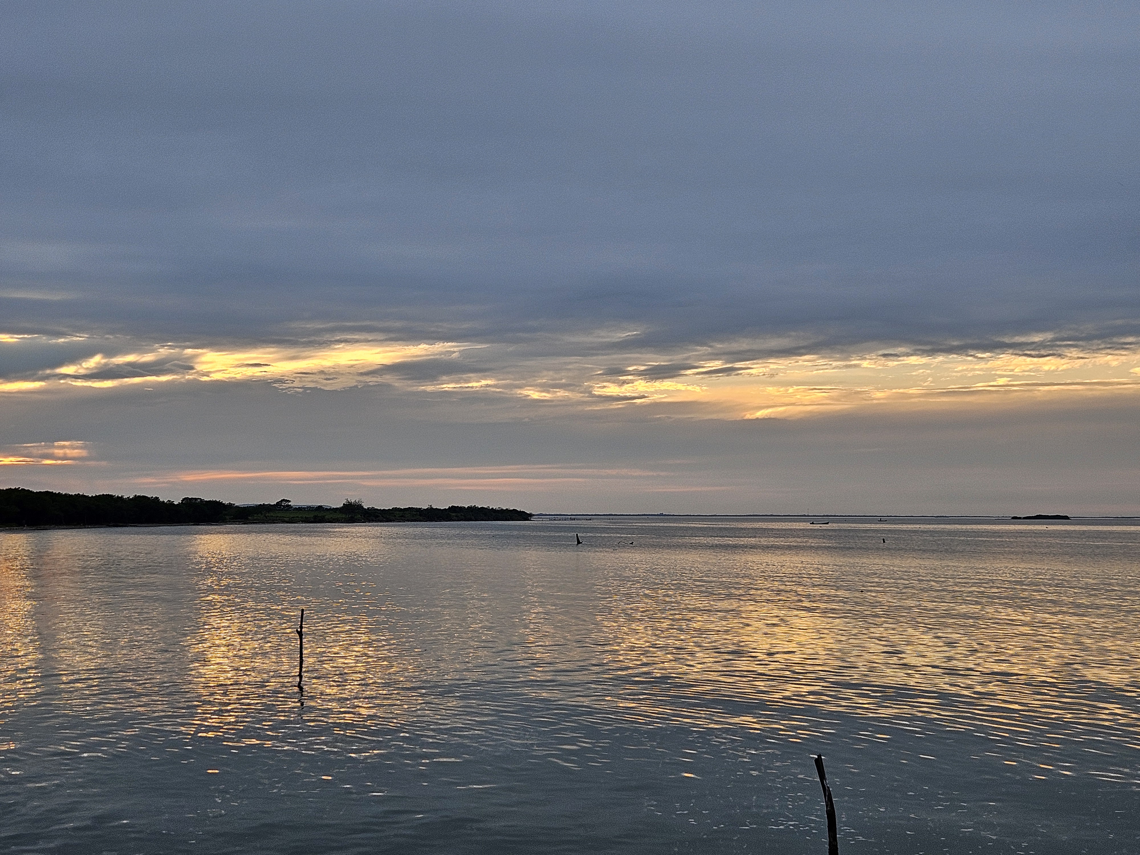 Media Luna Restaurant de Mariscos image 4