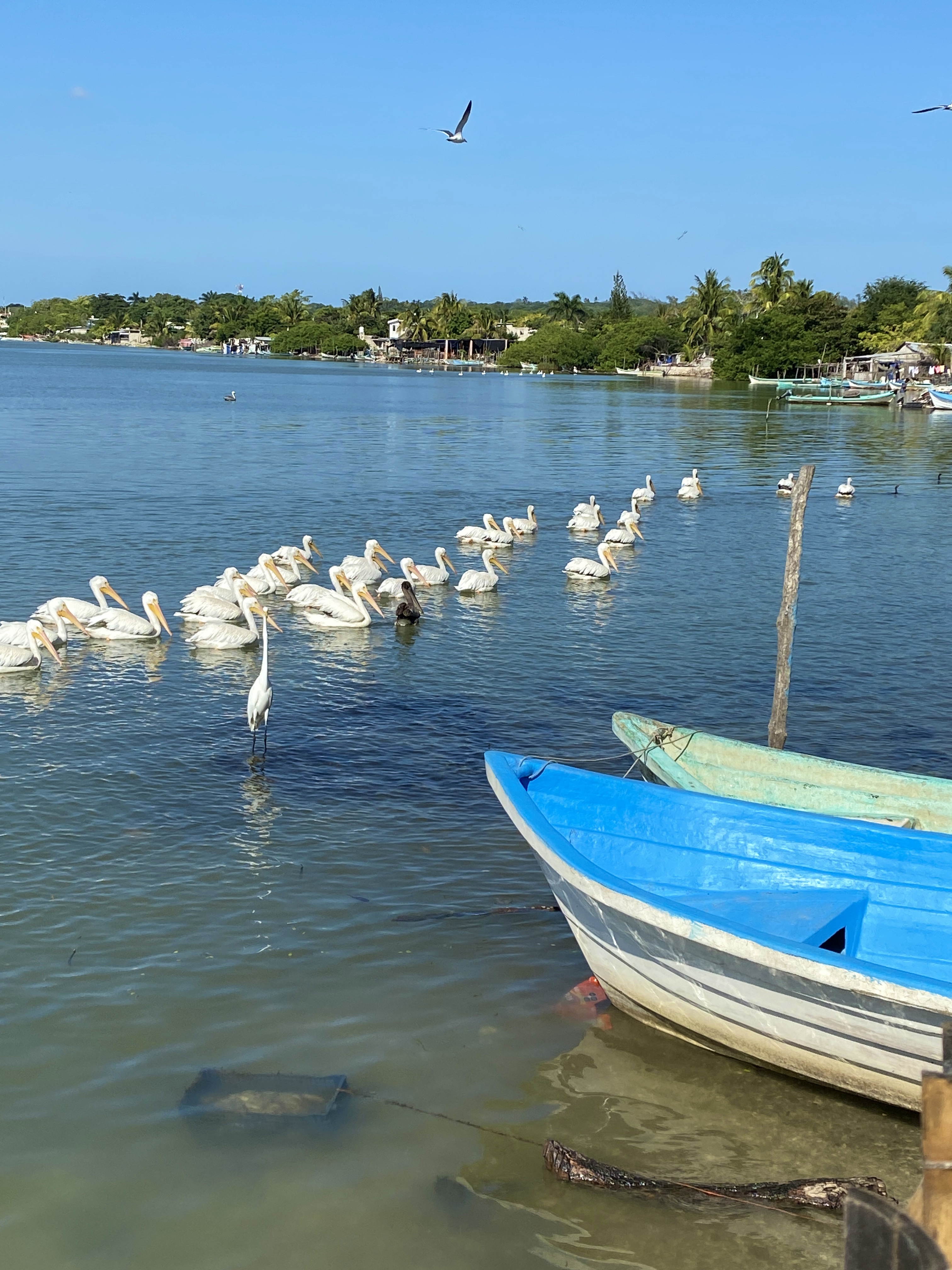 Media Luna Restaurant de Mariscos image 8