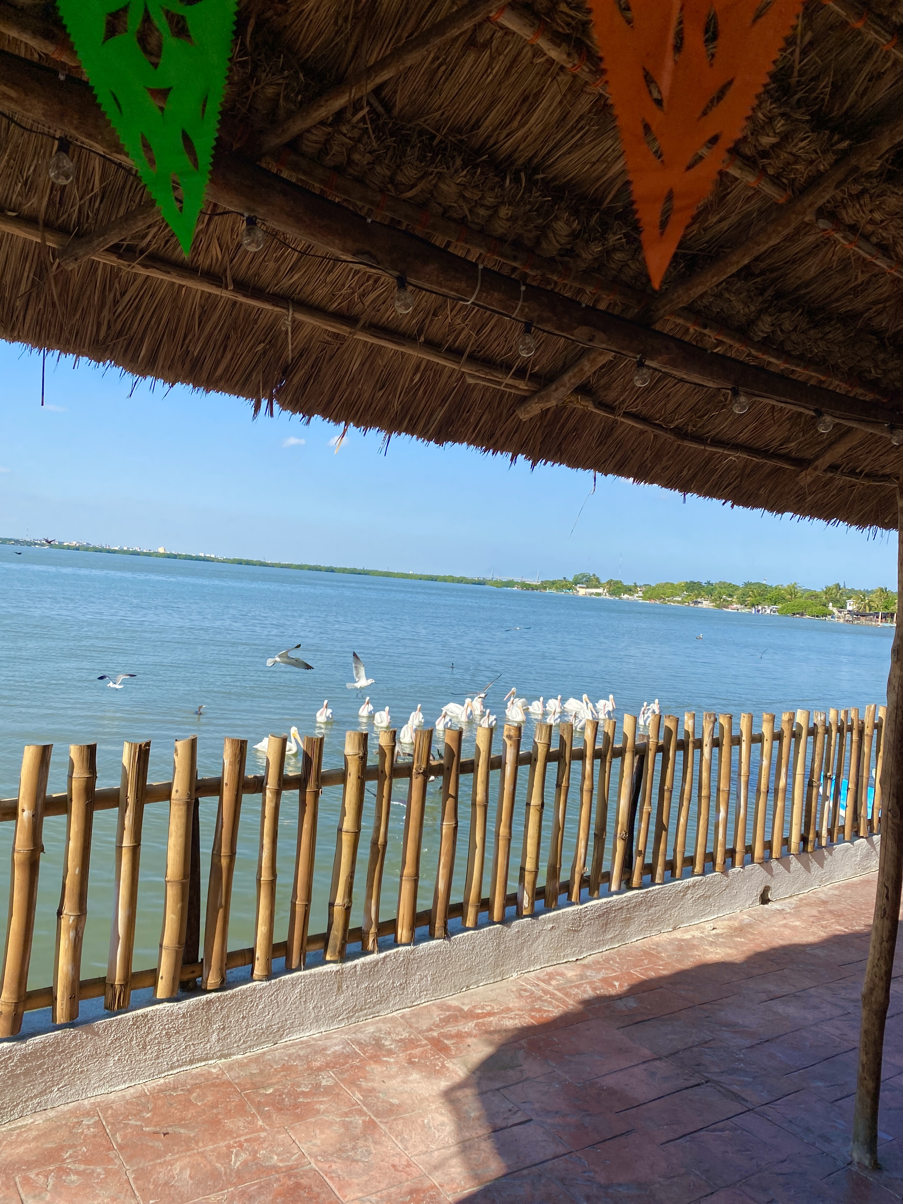 Media Luna Restaurant de Mariscos image 10