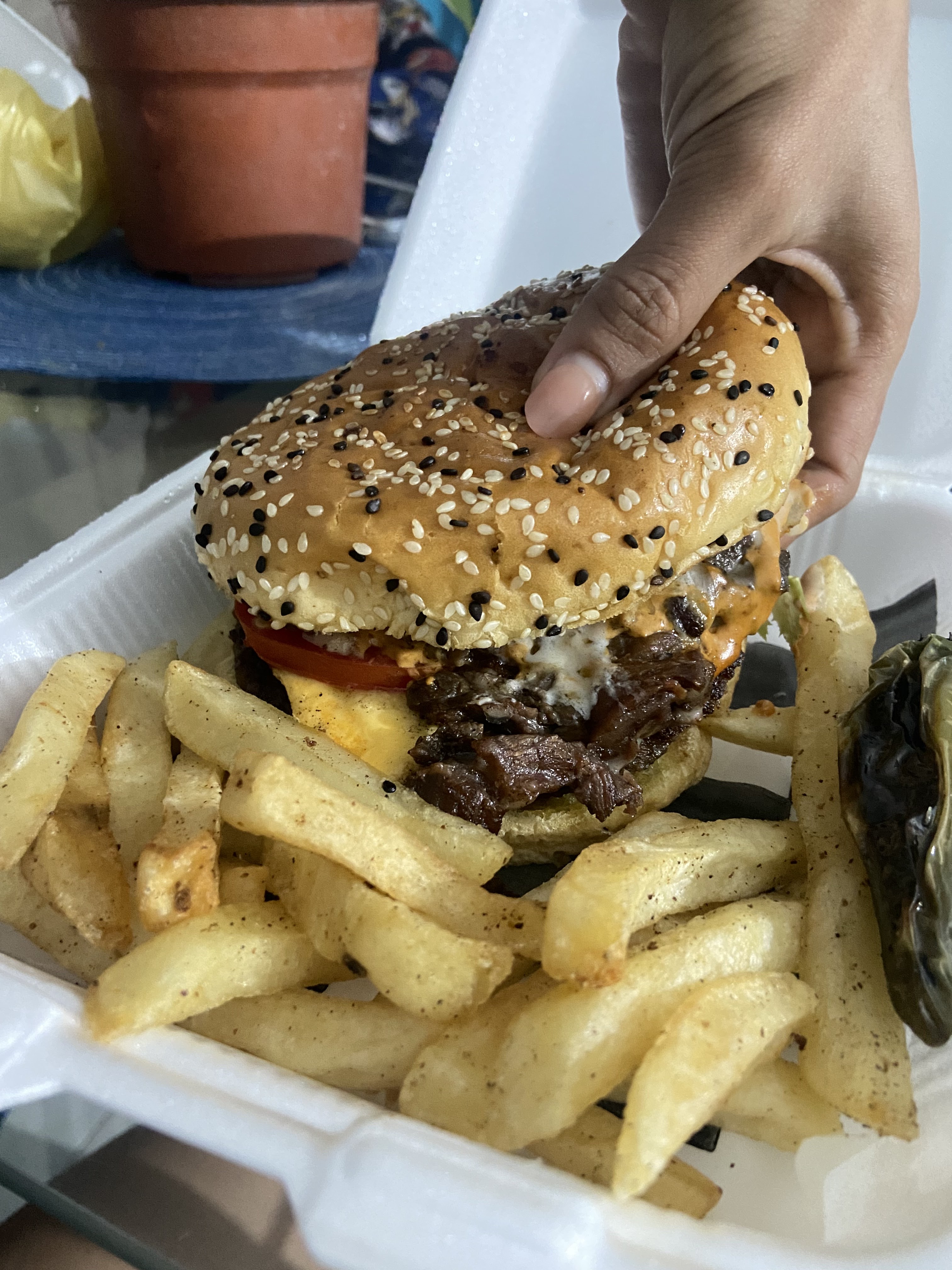 La pura vida image 6