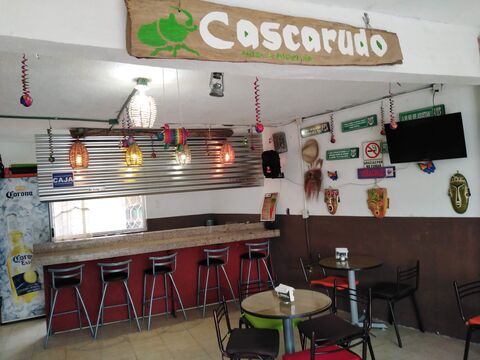 Cascarudo wings, Pueblo Viejo. image 6