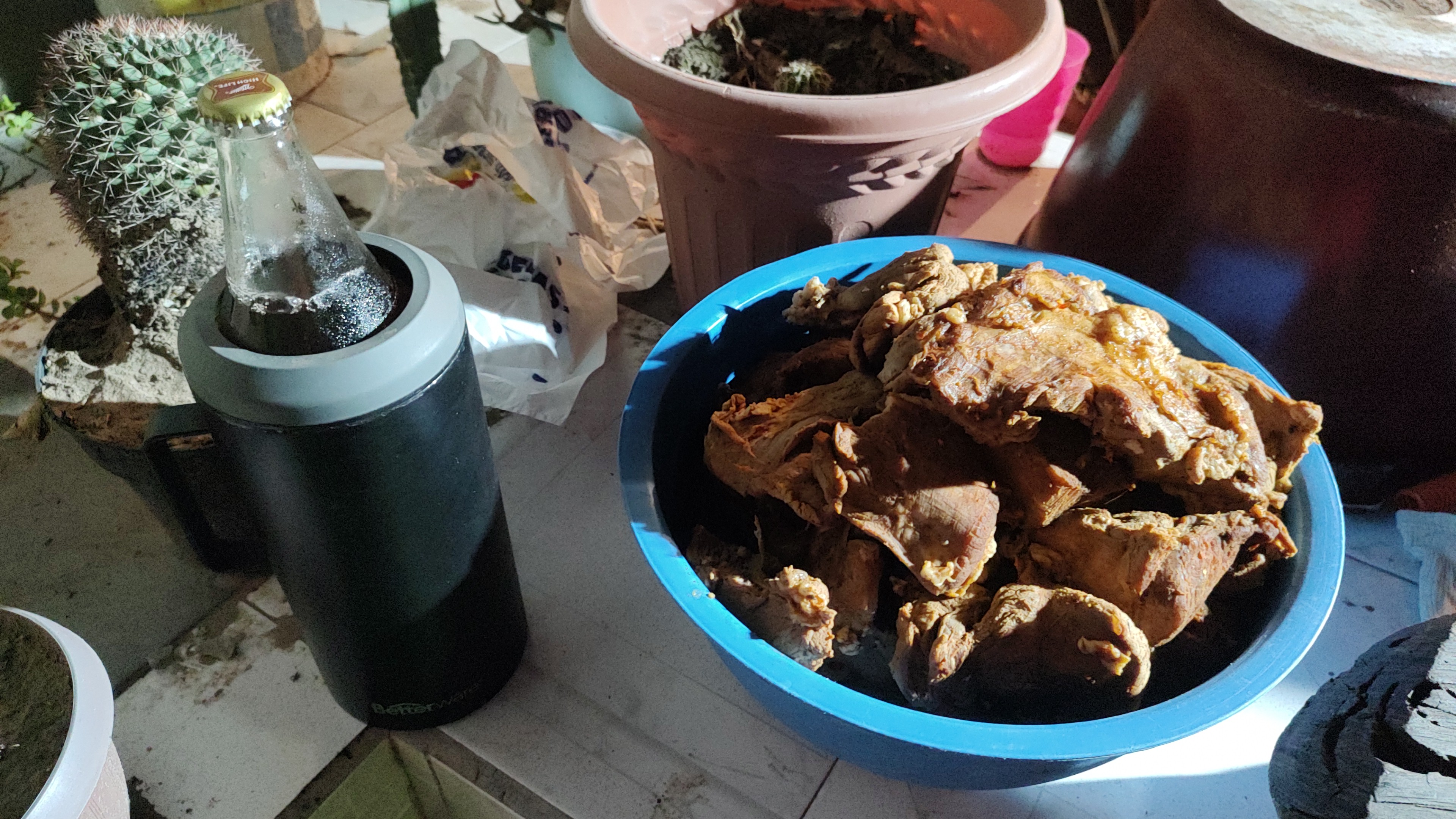 TAQUERIA'S SAN JAVIER LOS DE ADOBADA image 6