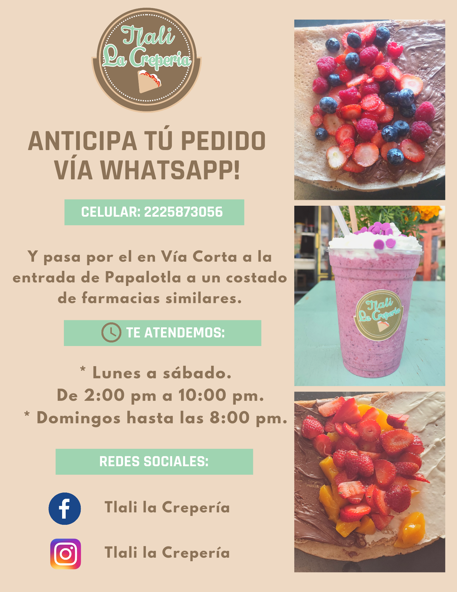 Tlali la Crepería/Tlali cactus y suculentas image 3