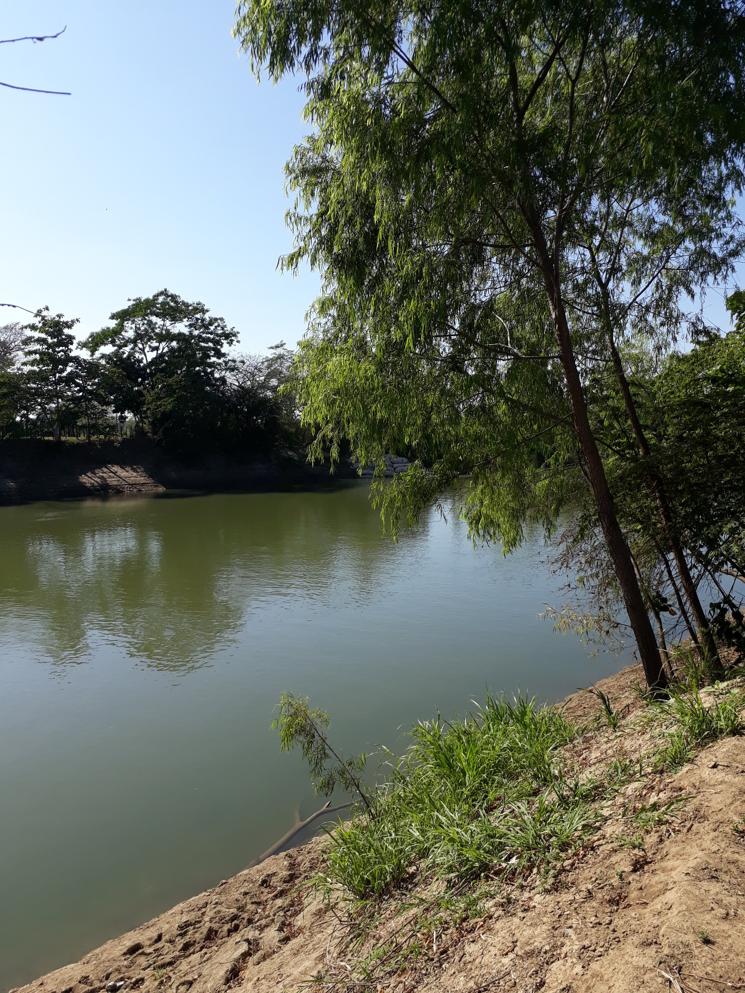 PITMAY Burgers image 7