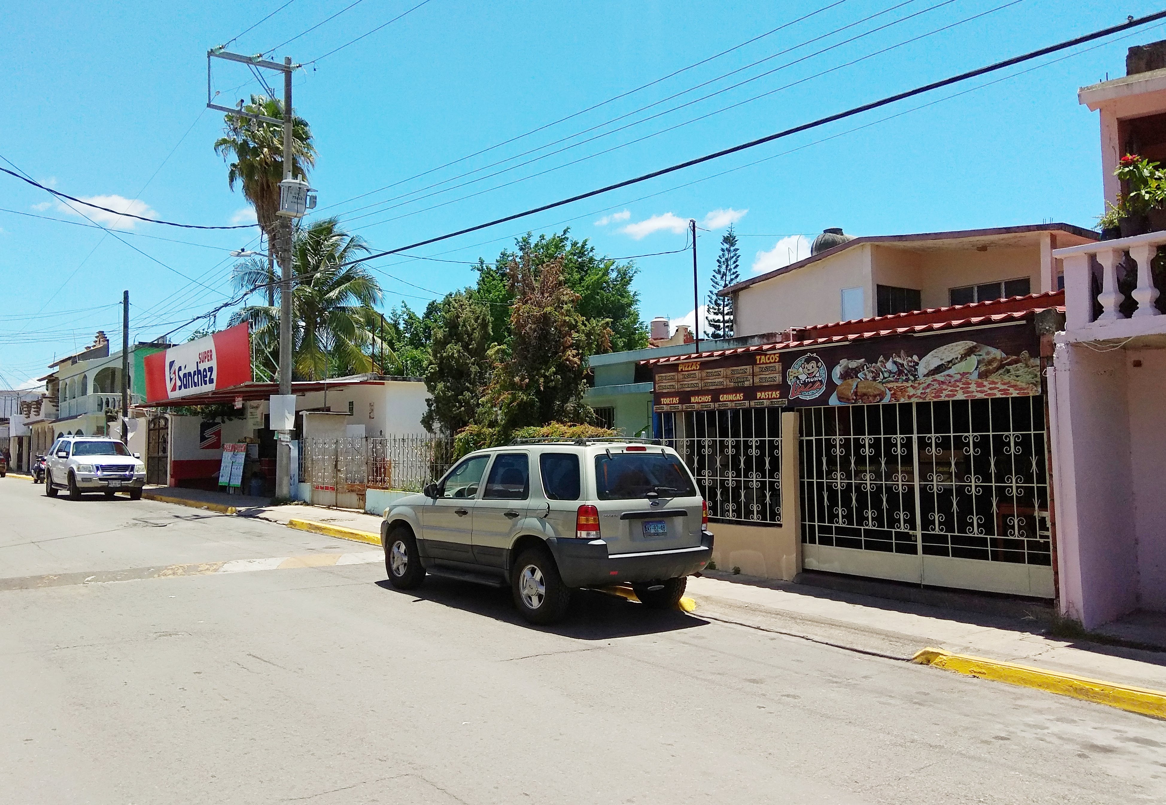 El Mono Luca image 9