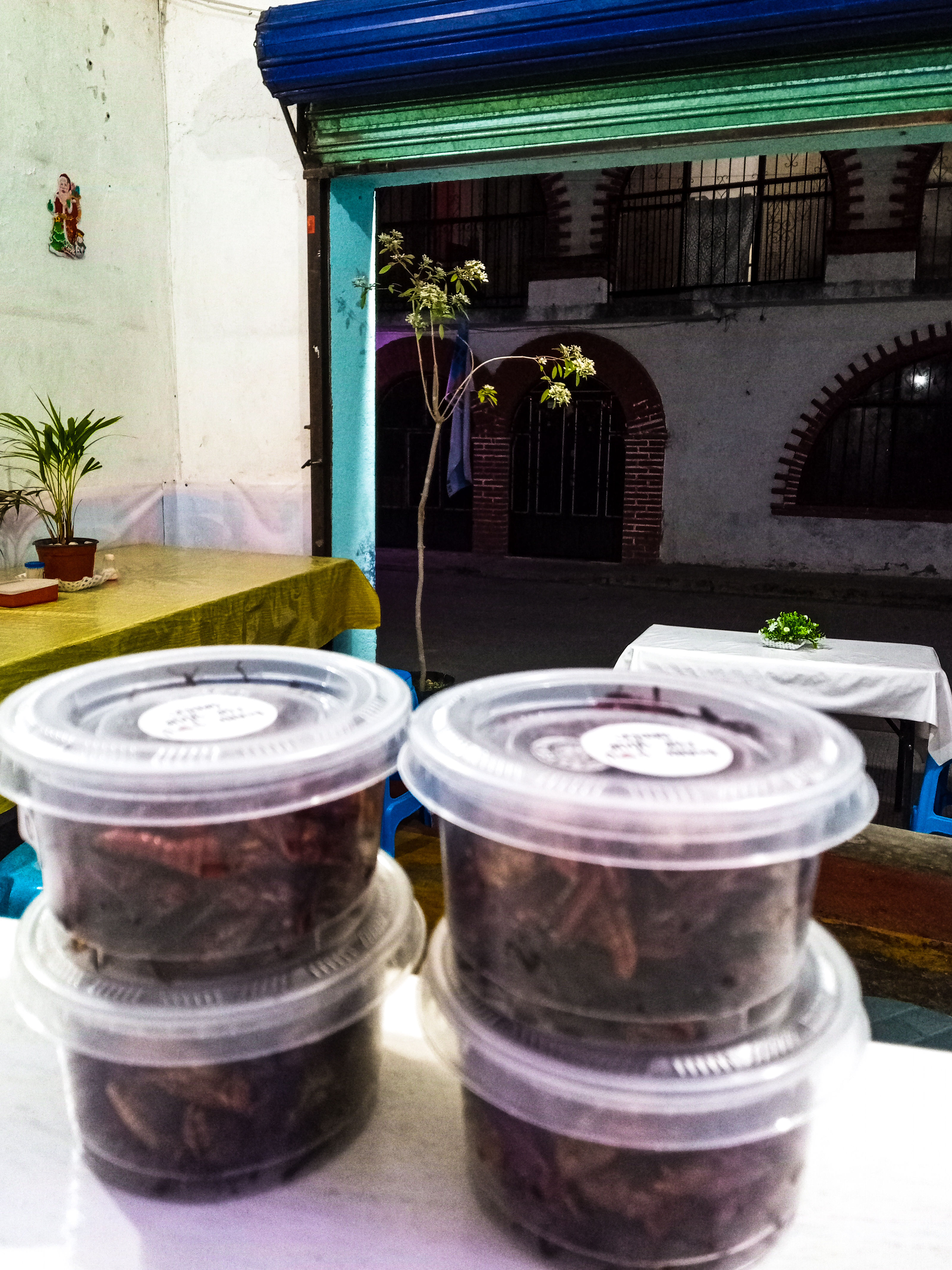 Snacks & Alitas "Suculentas" image 9