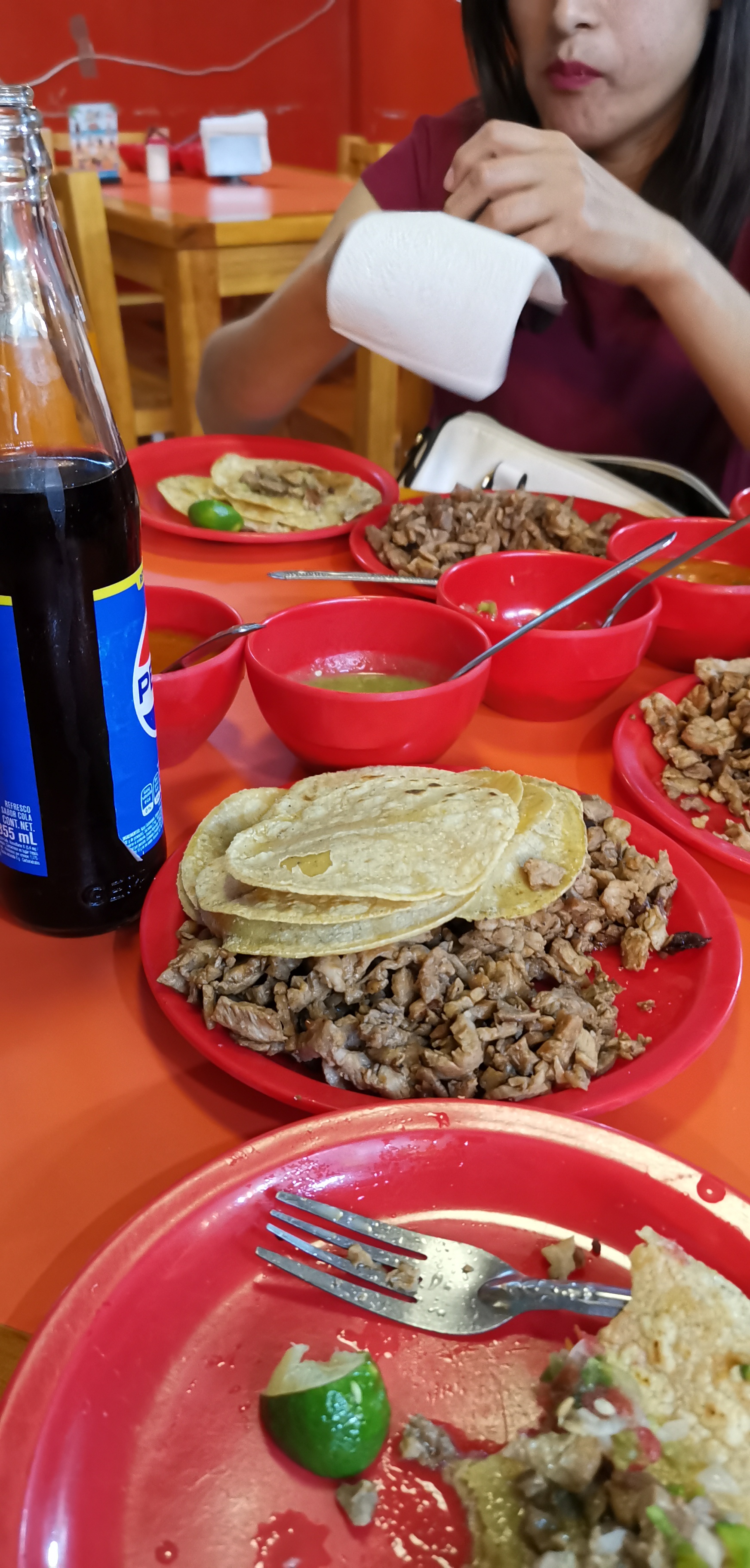 Taqueria LOS MIXES Tepexpan image 8