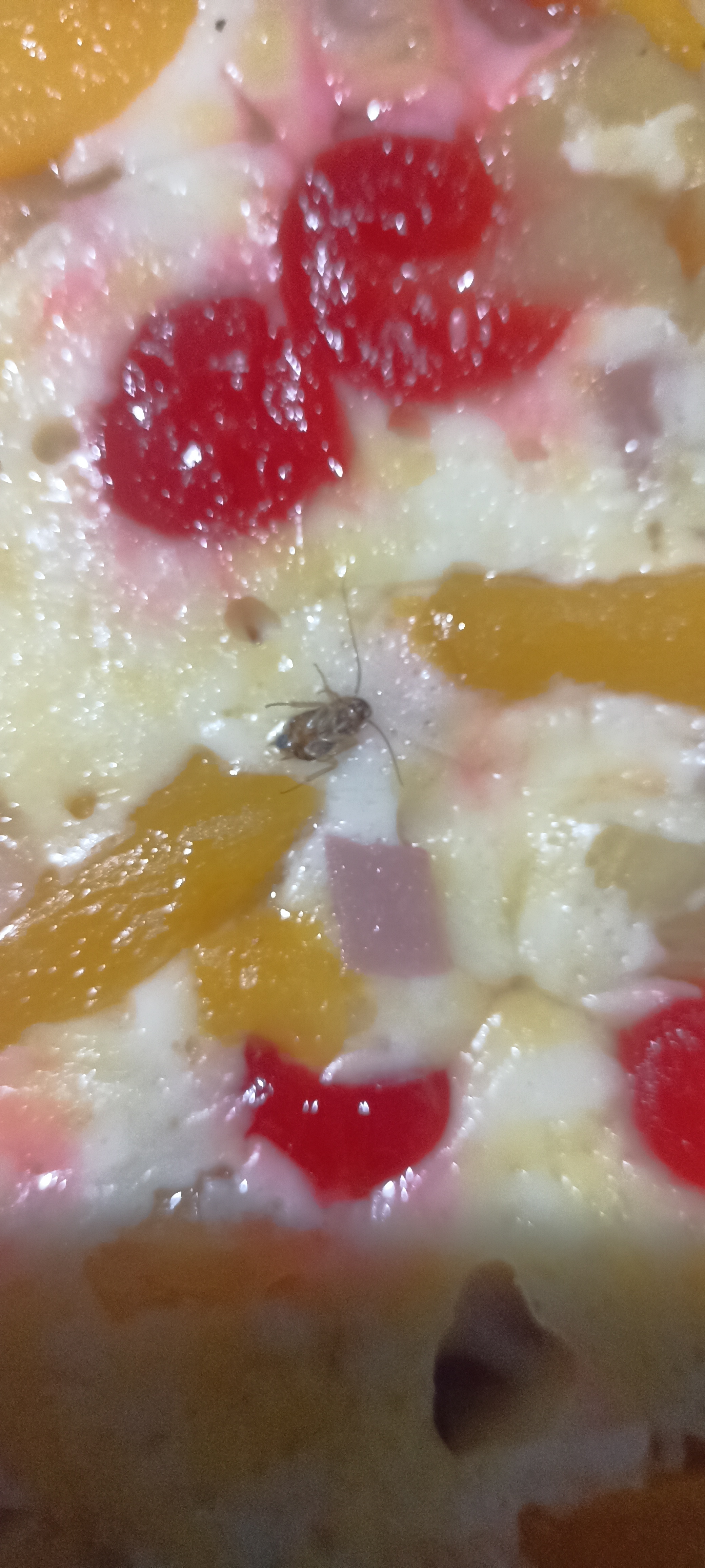 Sinai Pizzas image 3