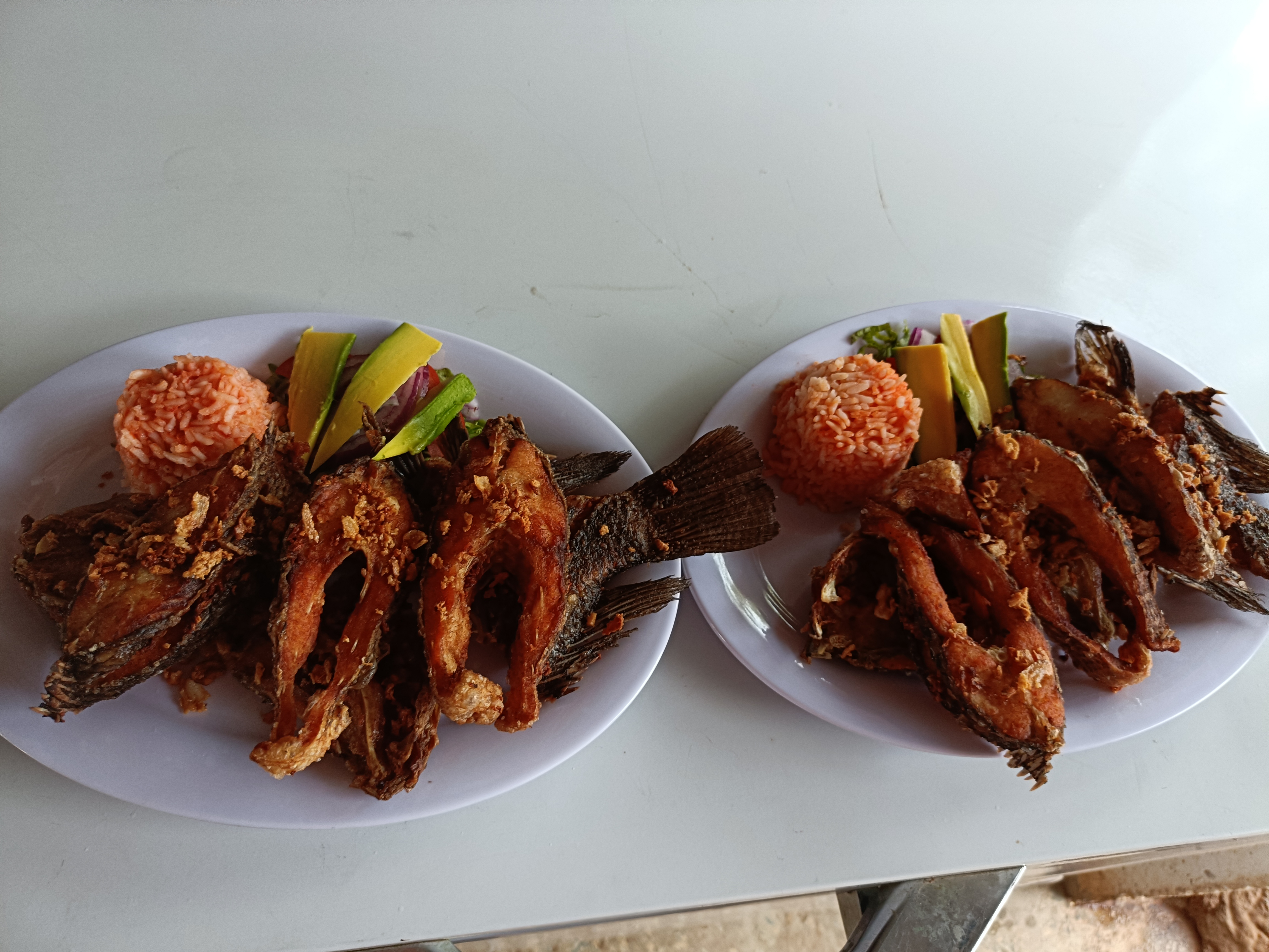 Las Palapas de Carrizal image 5