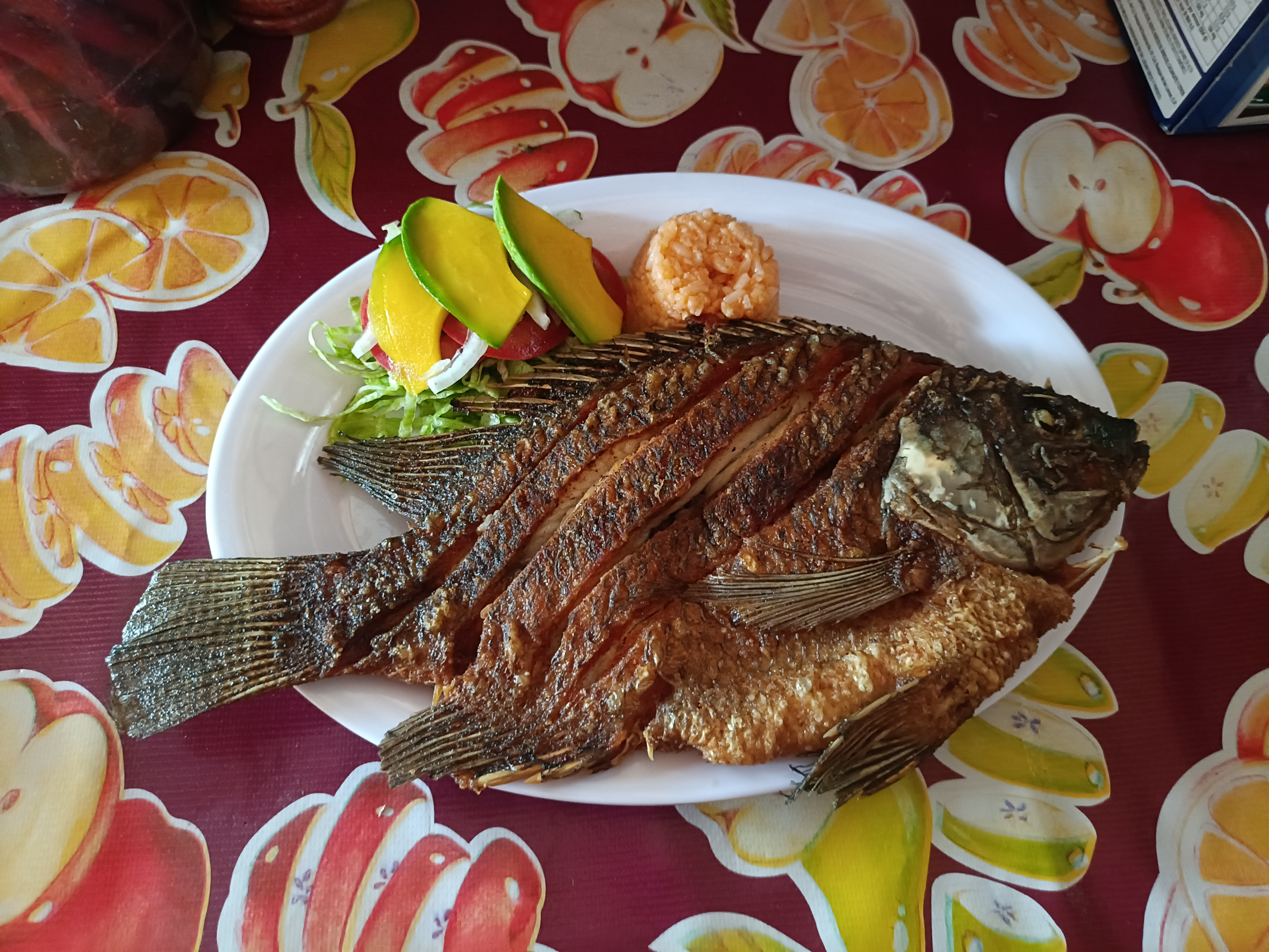 Las Palapas de Carrizal image 9