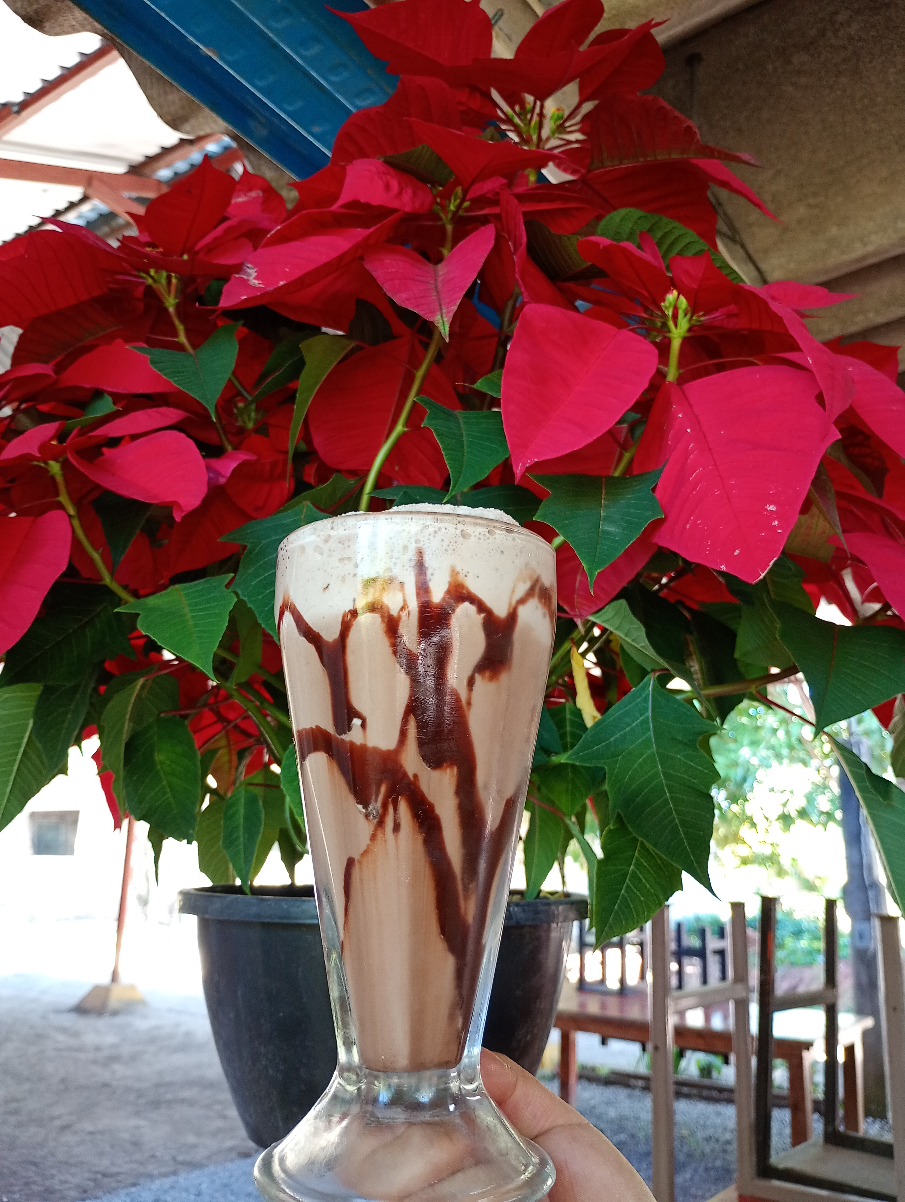 Carnitas El Sanjuanero image 3