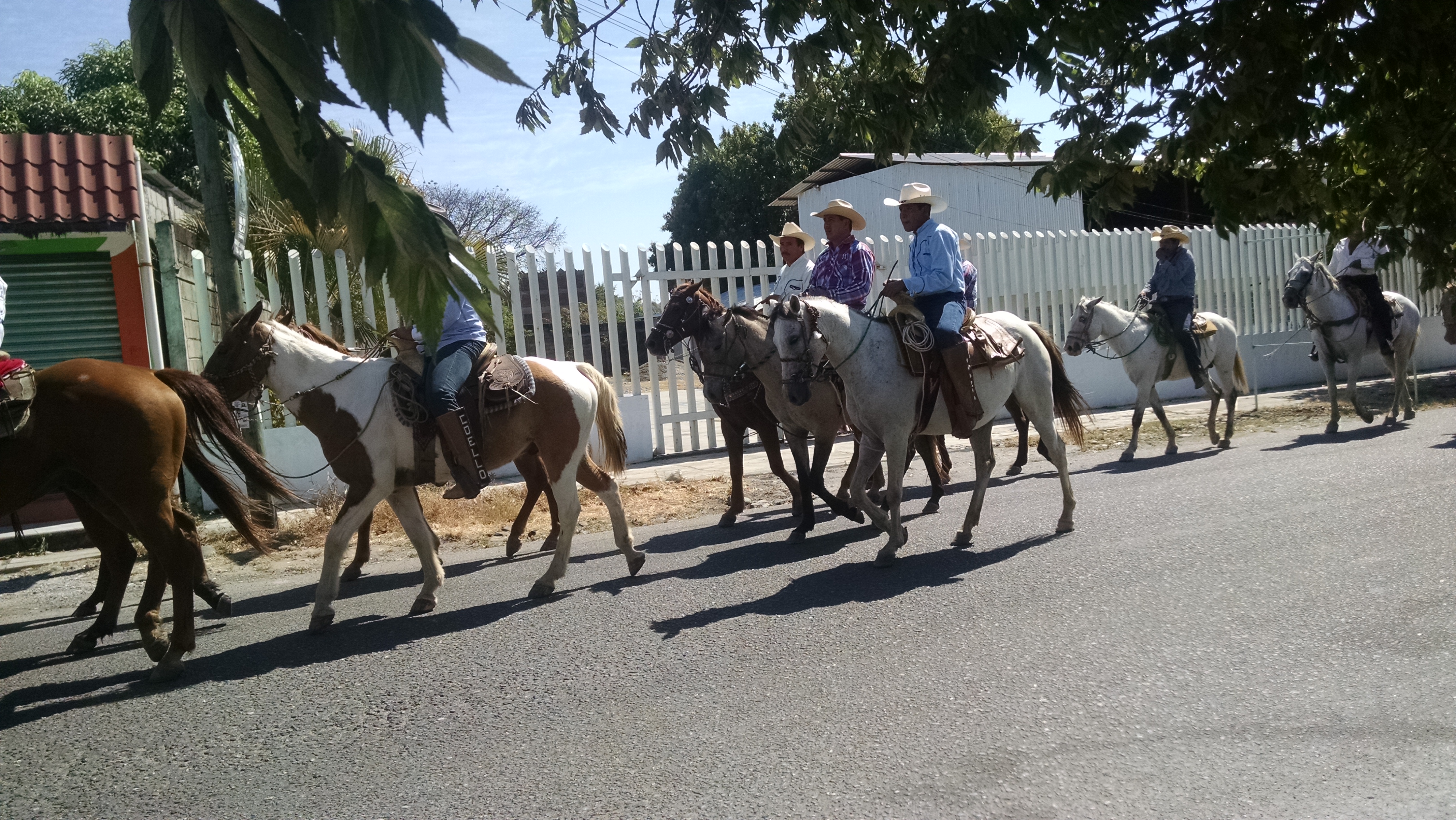 Centro Botanero Dichos image 4