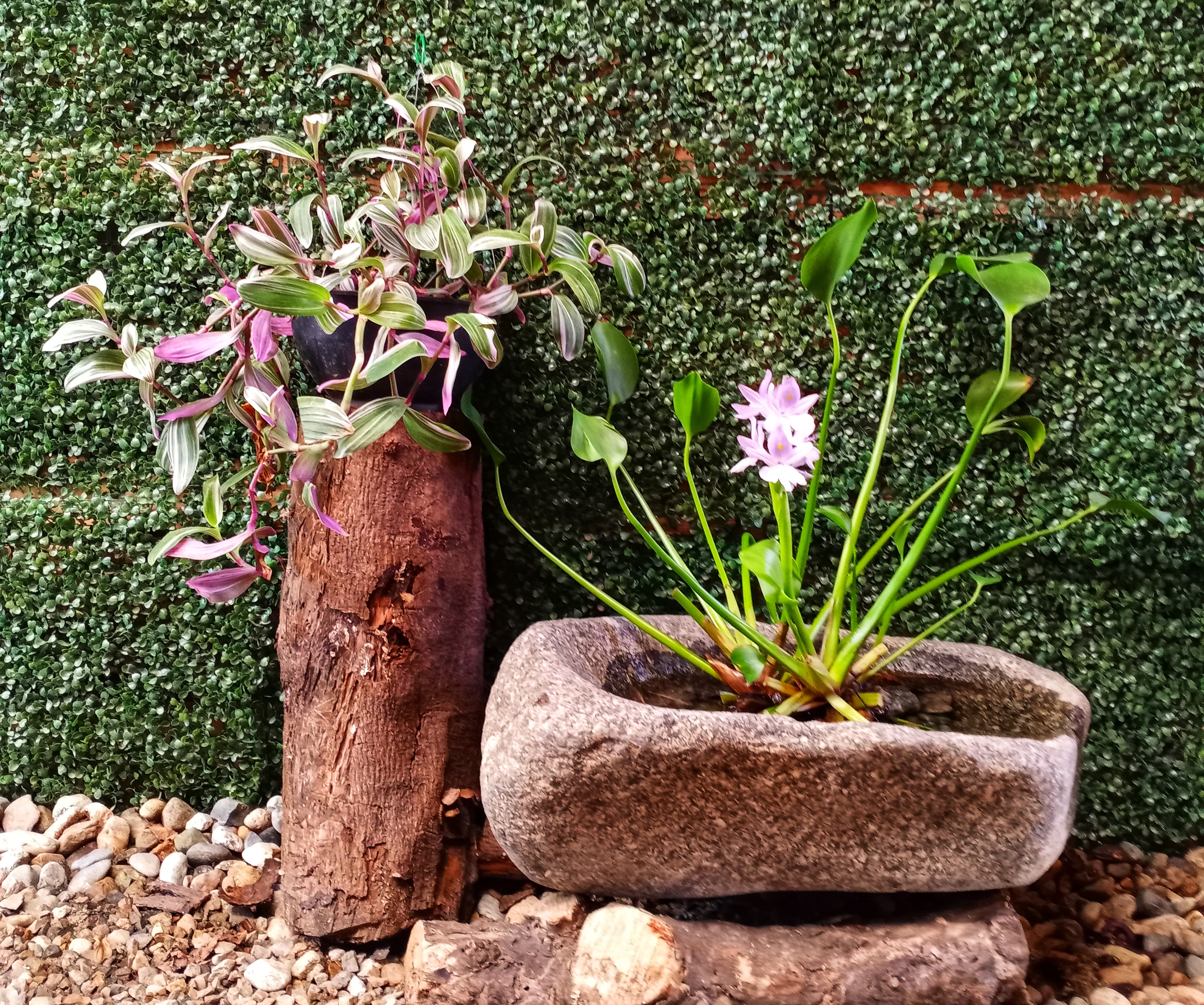 Pizzería San Telmo image 8