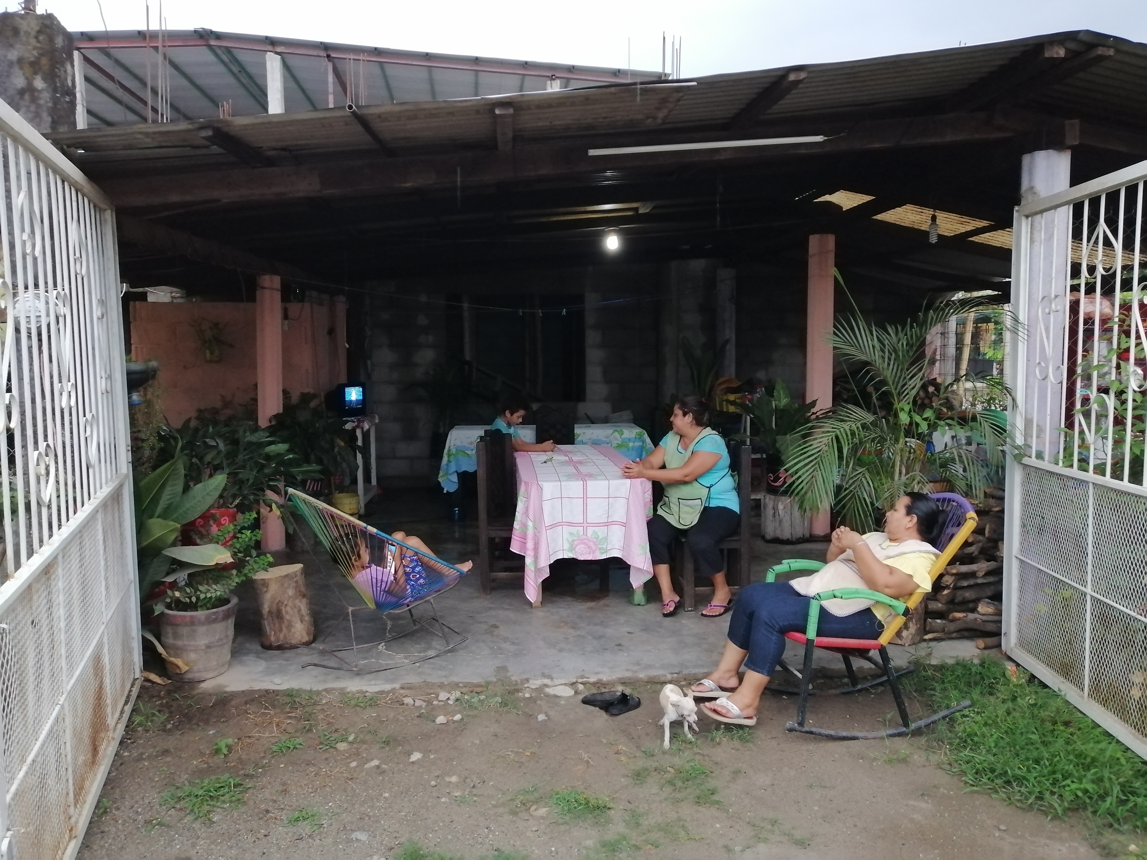 Taquería y birrieria luvaar image 5