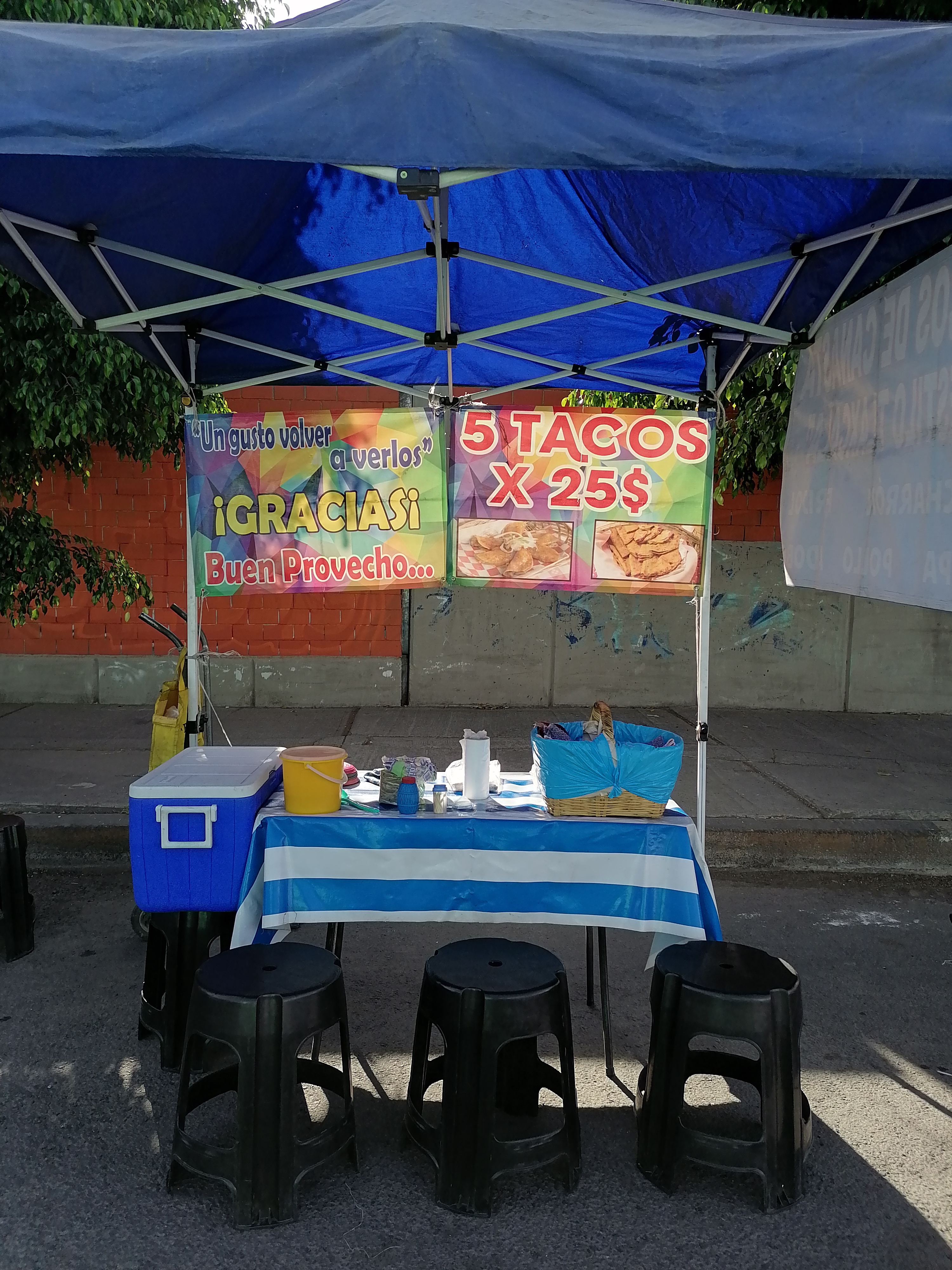 Tacos de canasta "Estilo Tlaxcala" 2 image 7