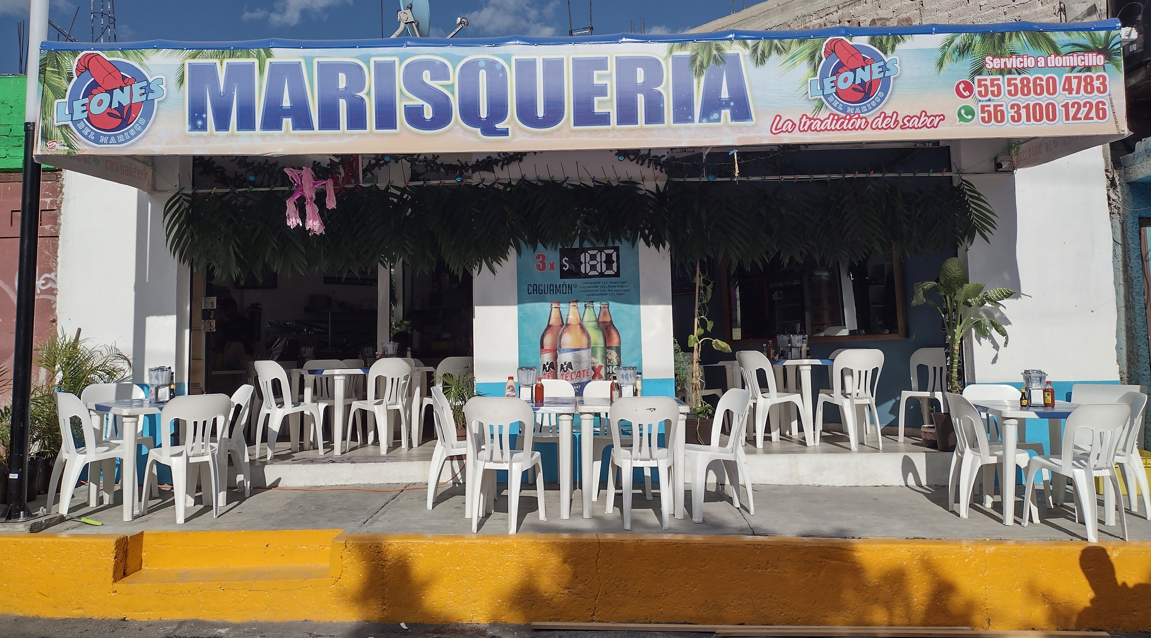 Leones Del Marisco image 1