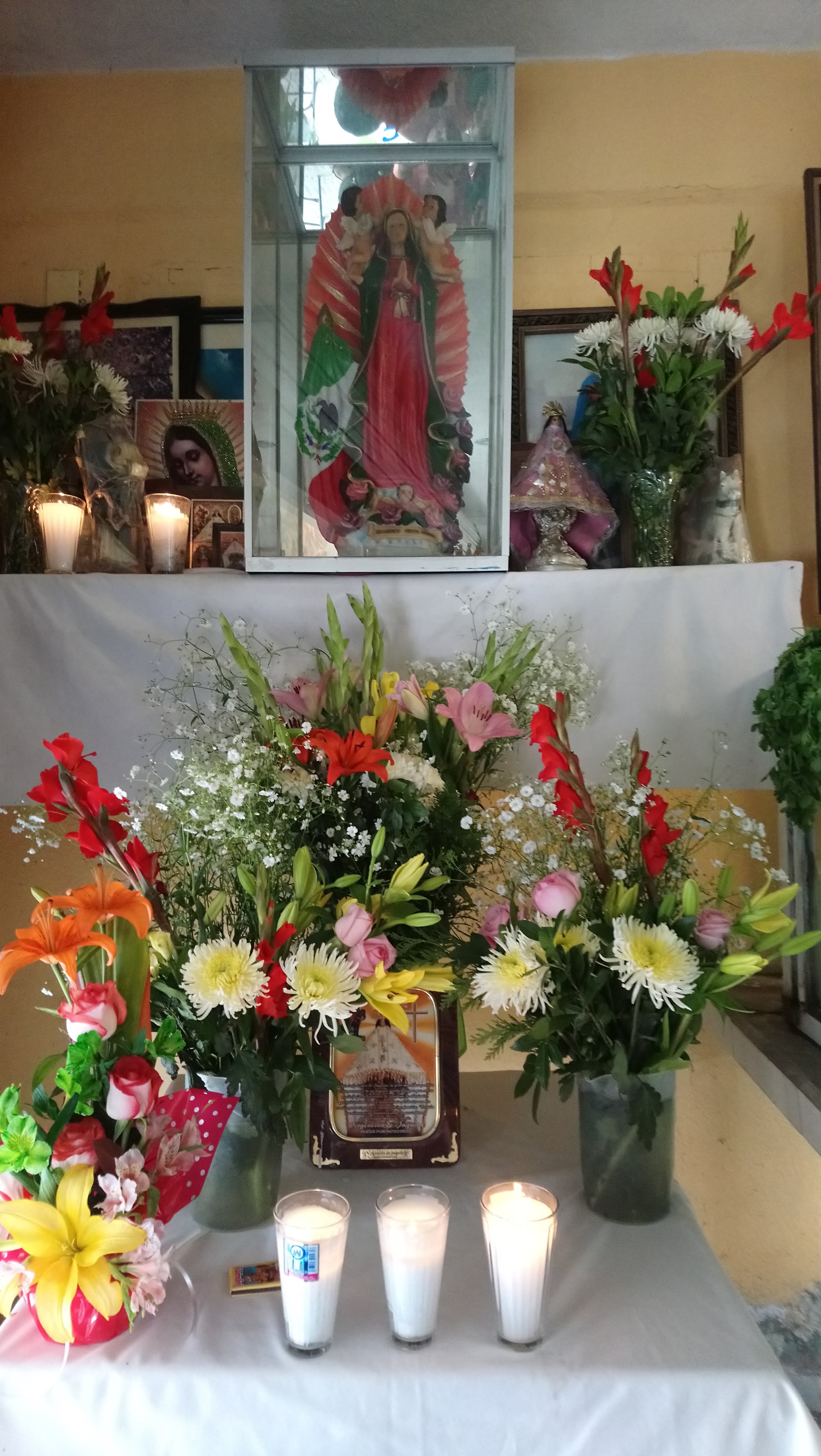 Leones Del Marisco image 5