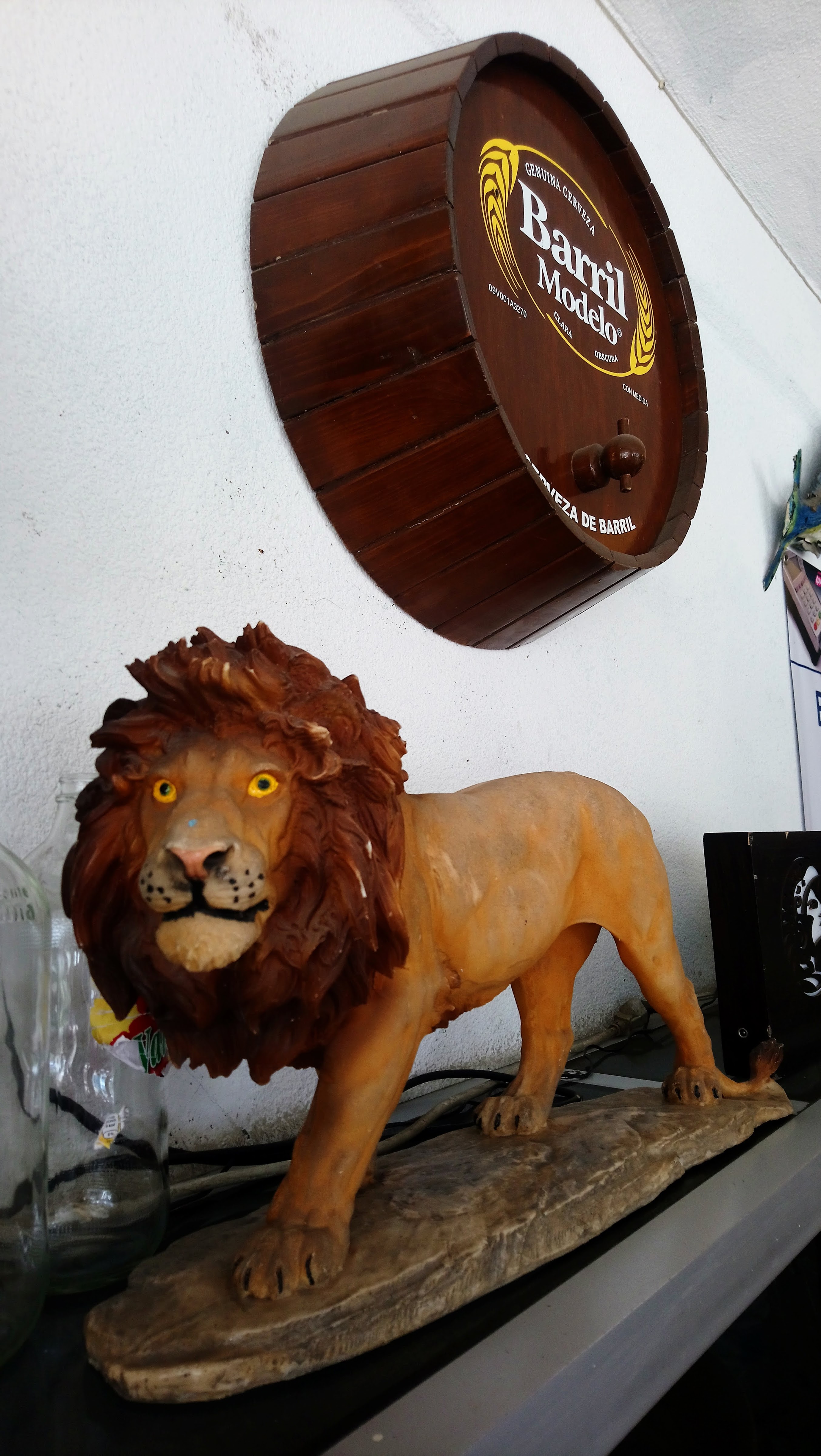 Leones Del Marisco image 7