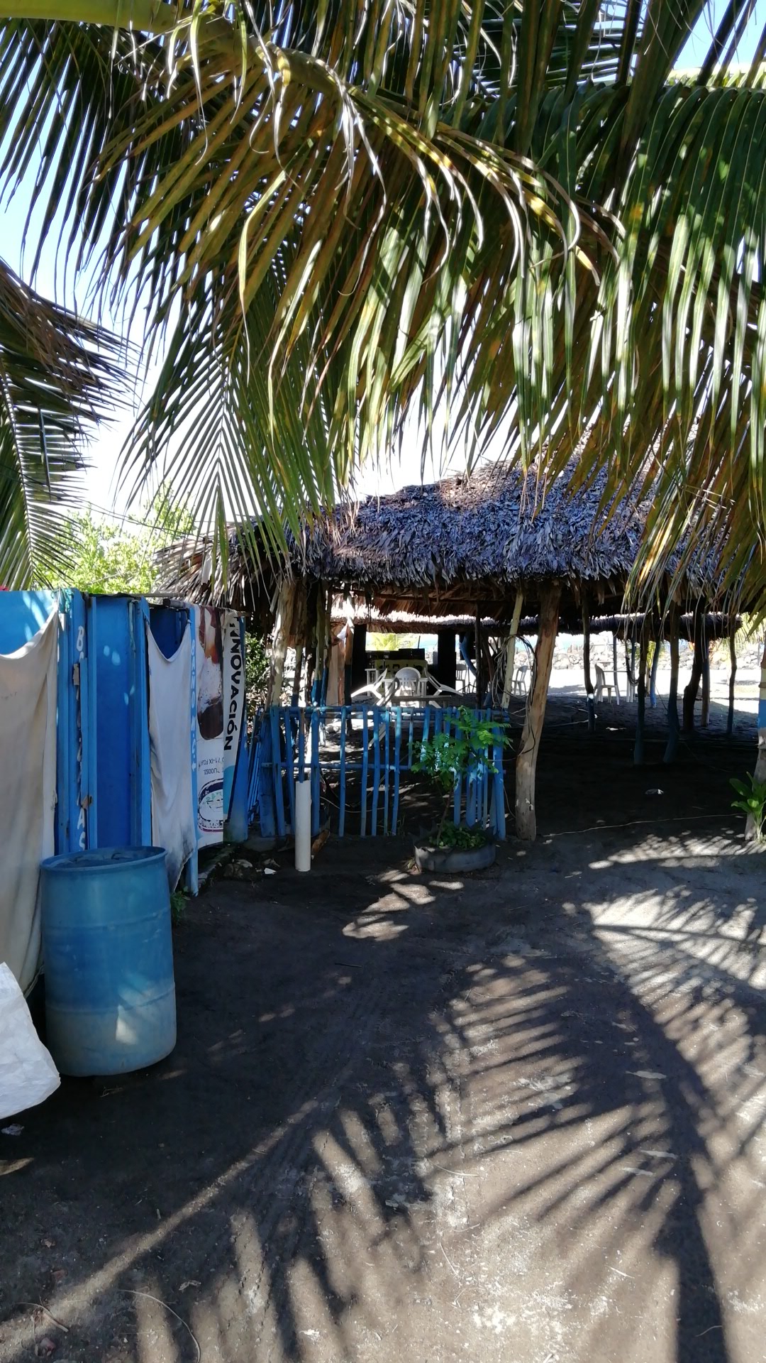 PALAPA PERLA image 2