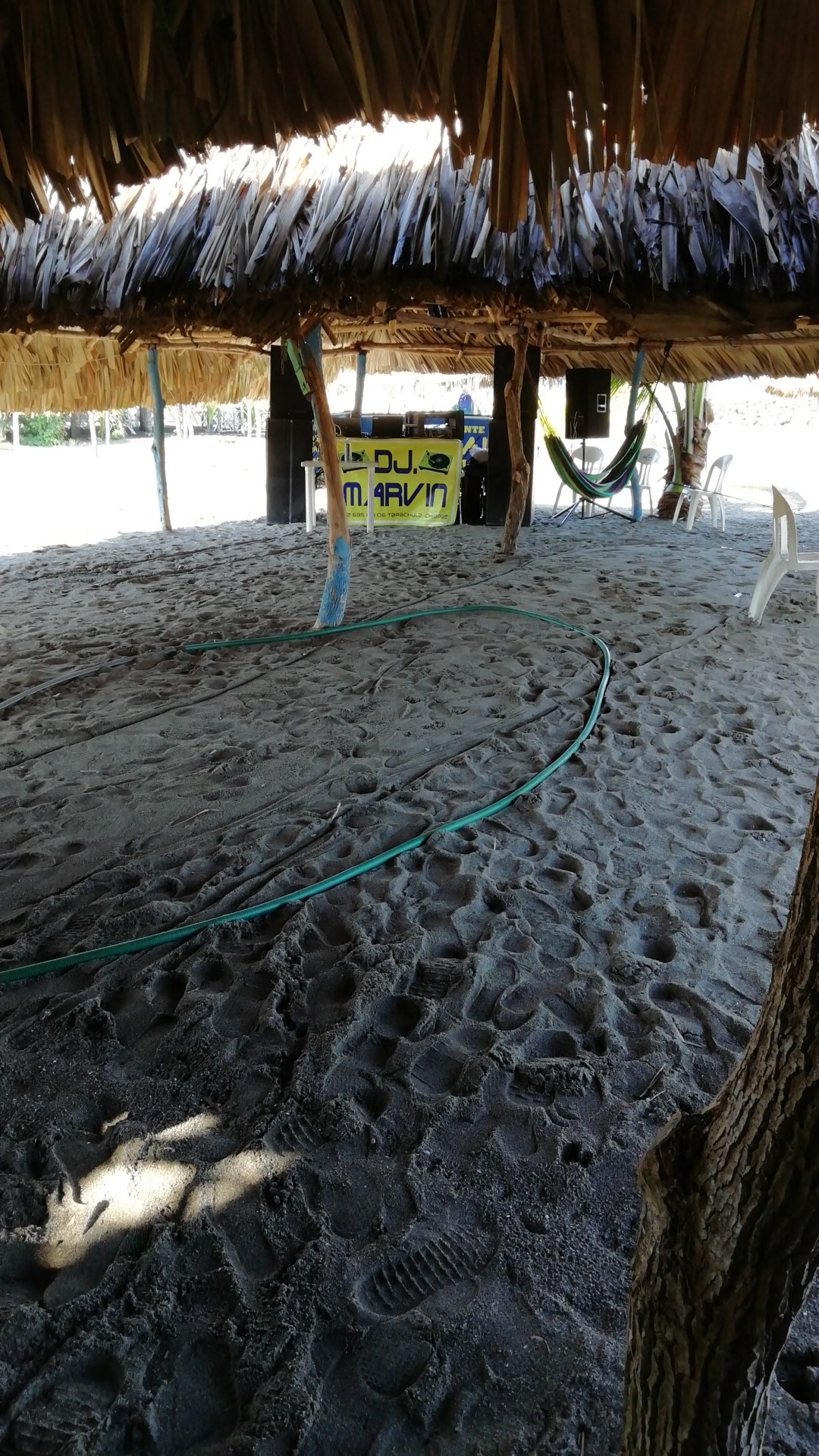 PALAPA PERLA image 3