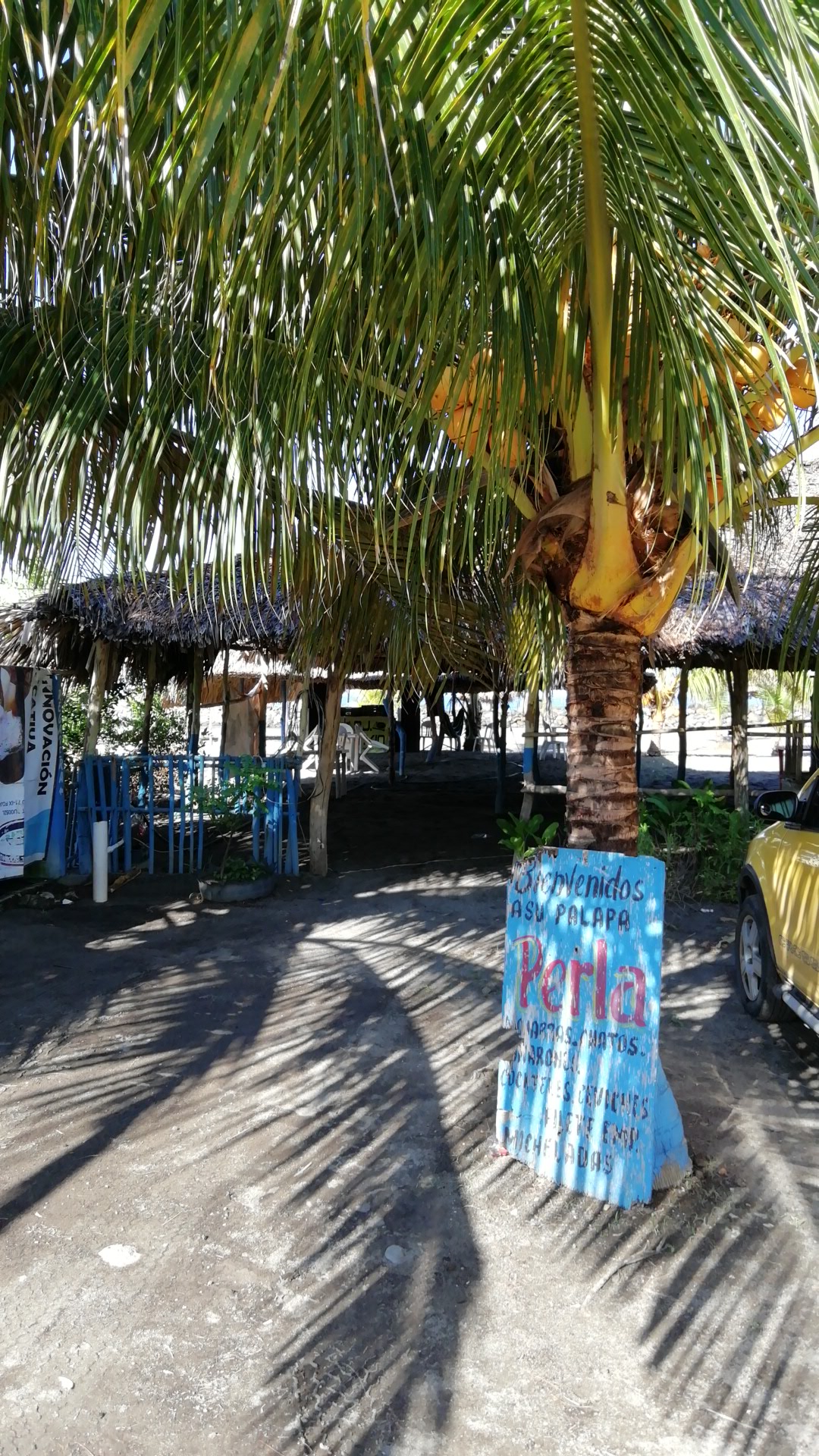 PALAPA PERLA image 4