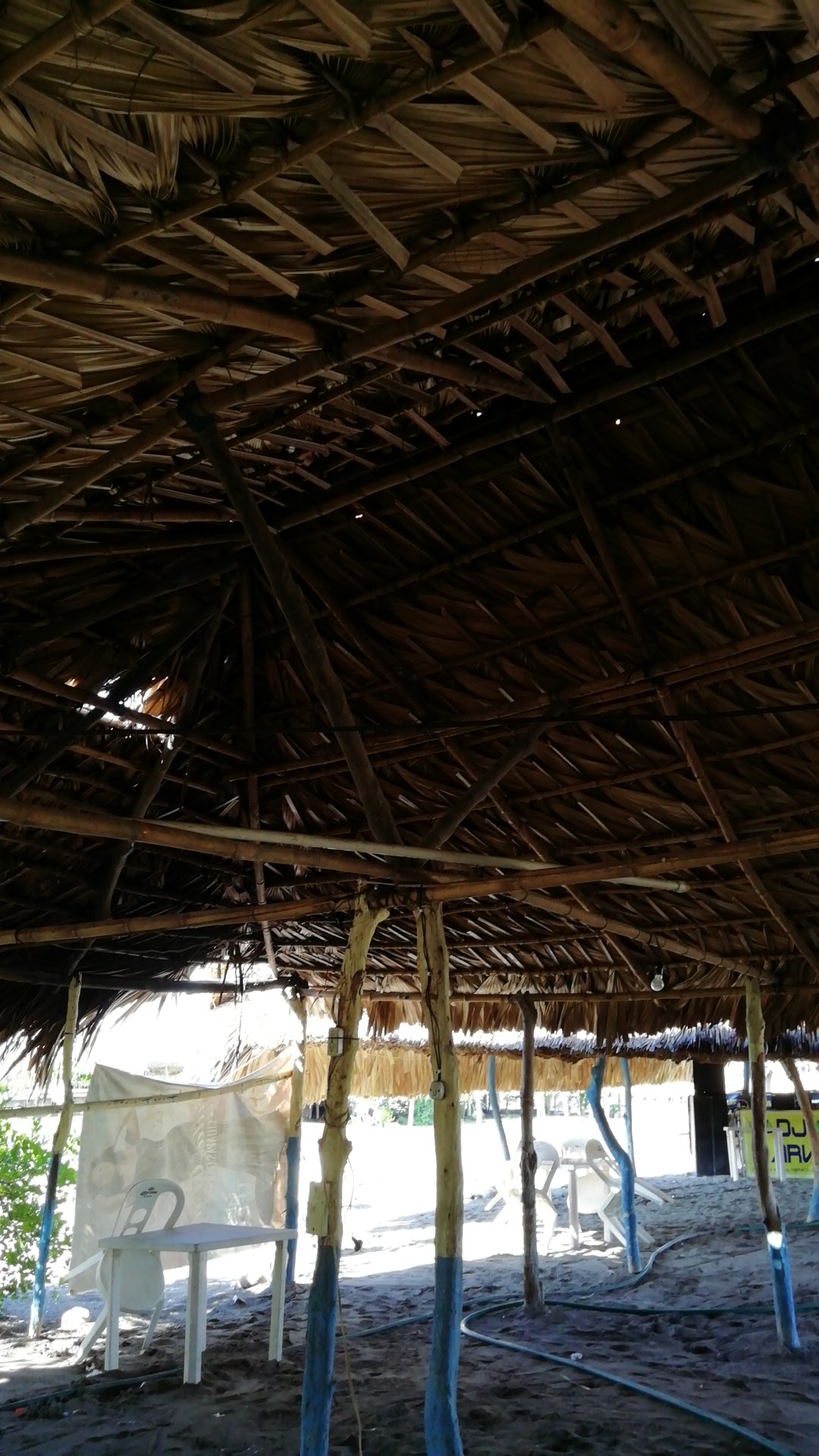 PALAPA PERLA image 5