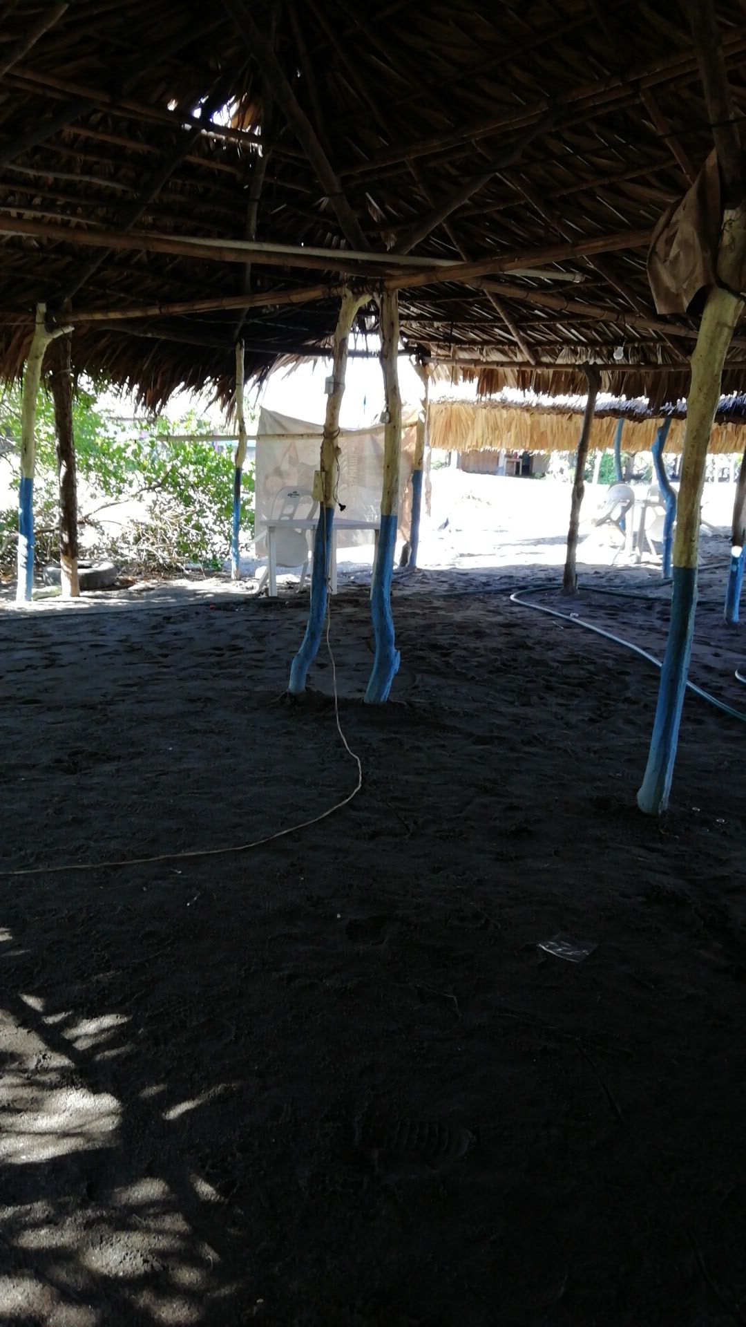 PALAPA PERLA image 6