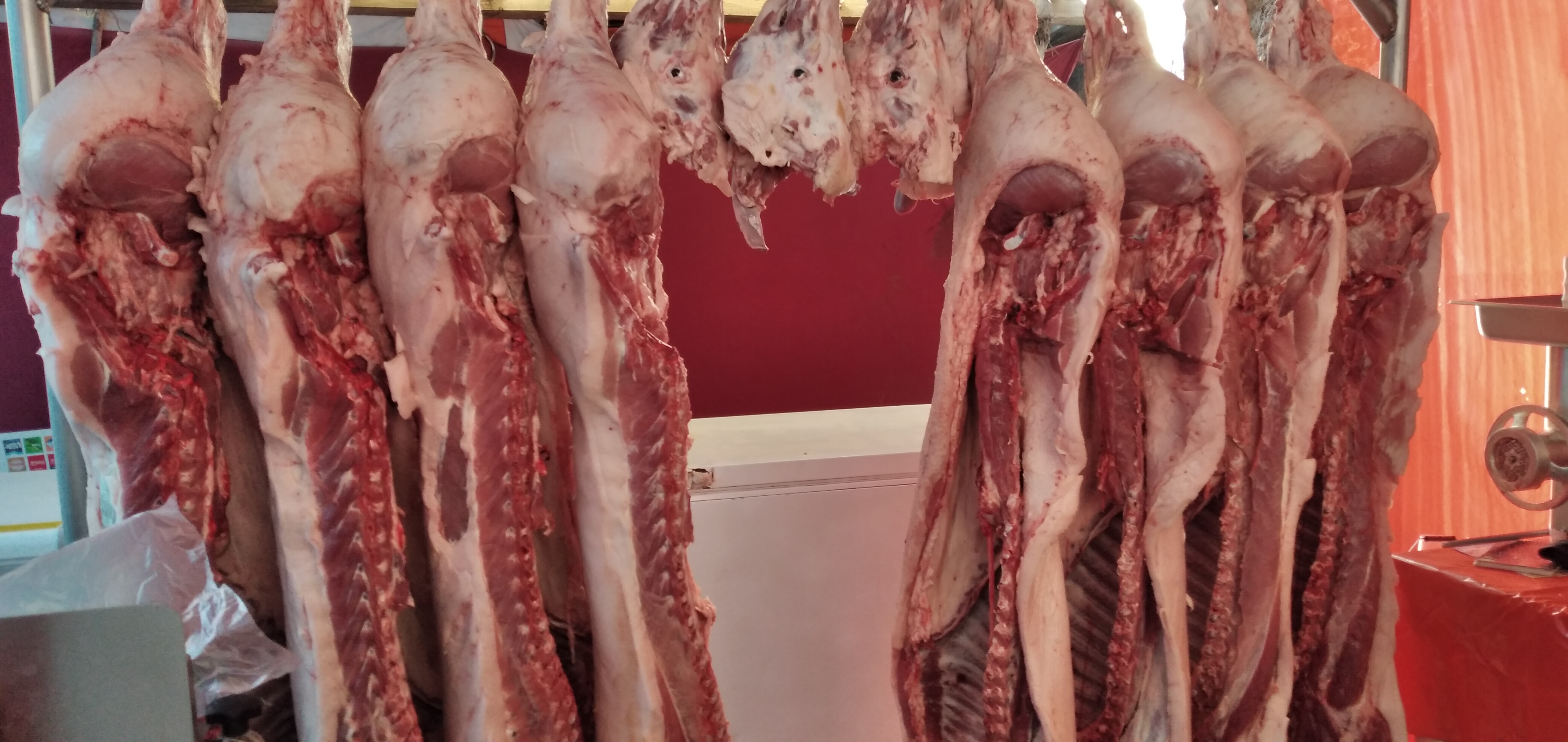 Tacos al pastor Mario y carniceria Mario. image 2