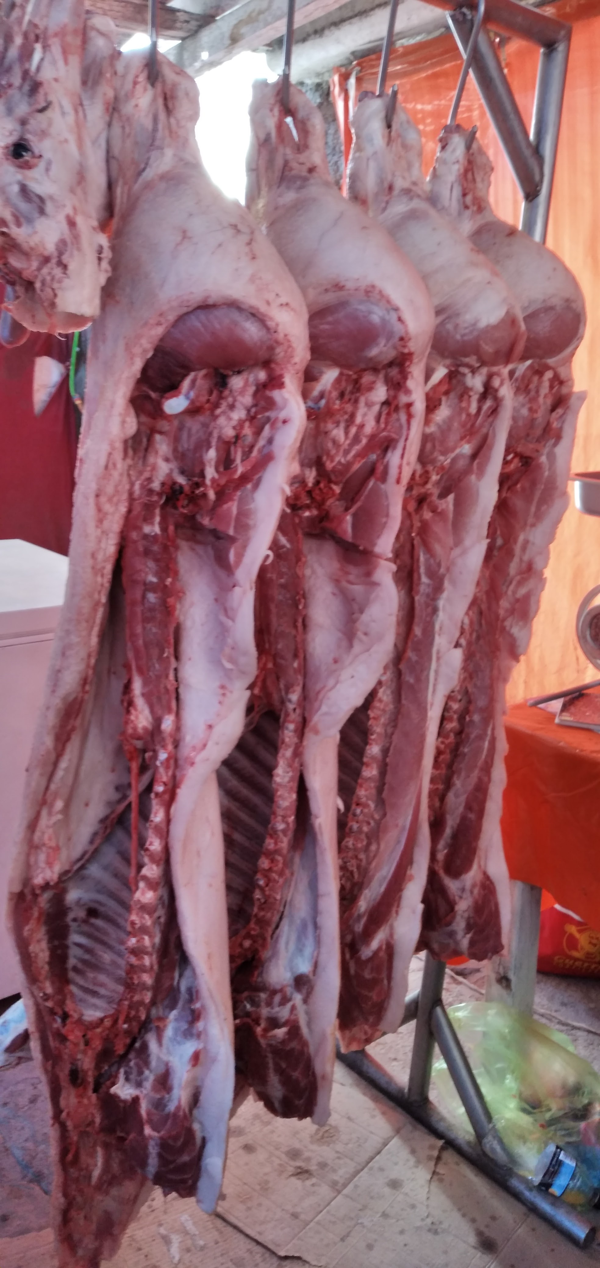 Tacos al pastor Mario y carniceria Mario. image 5