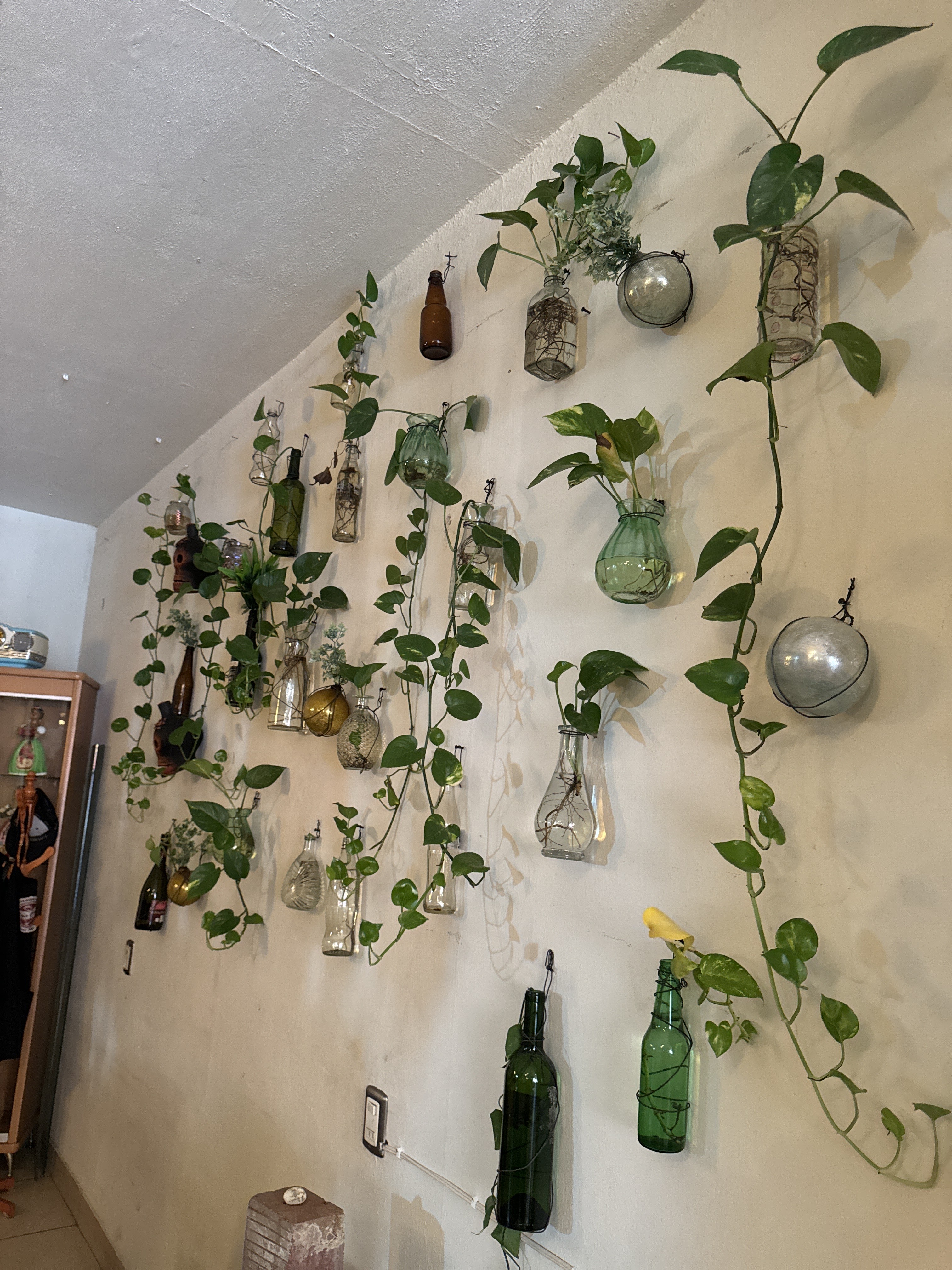 El Sazón de Doña Chuy image 4