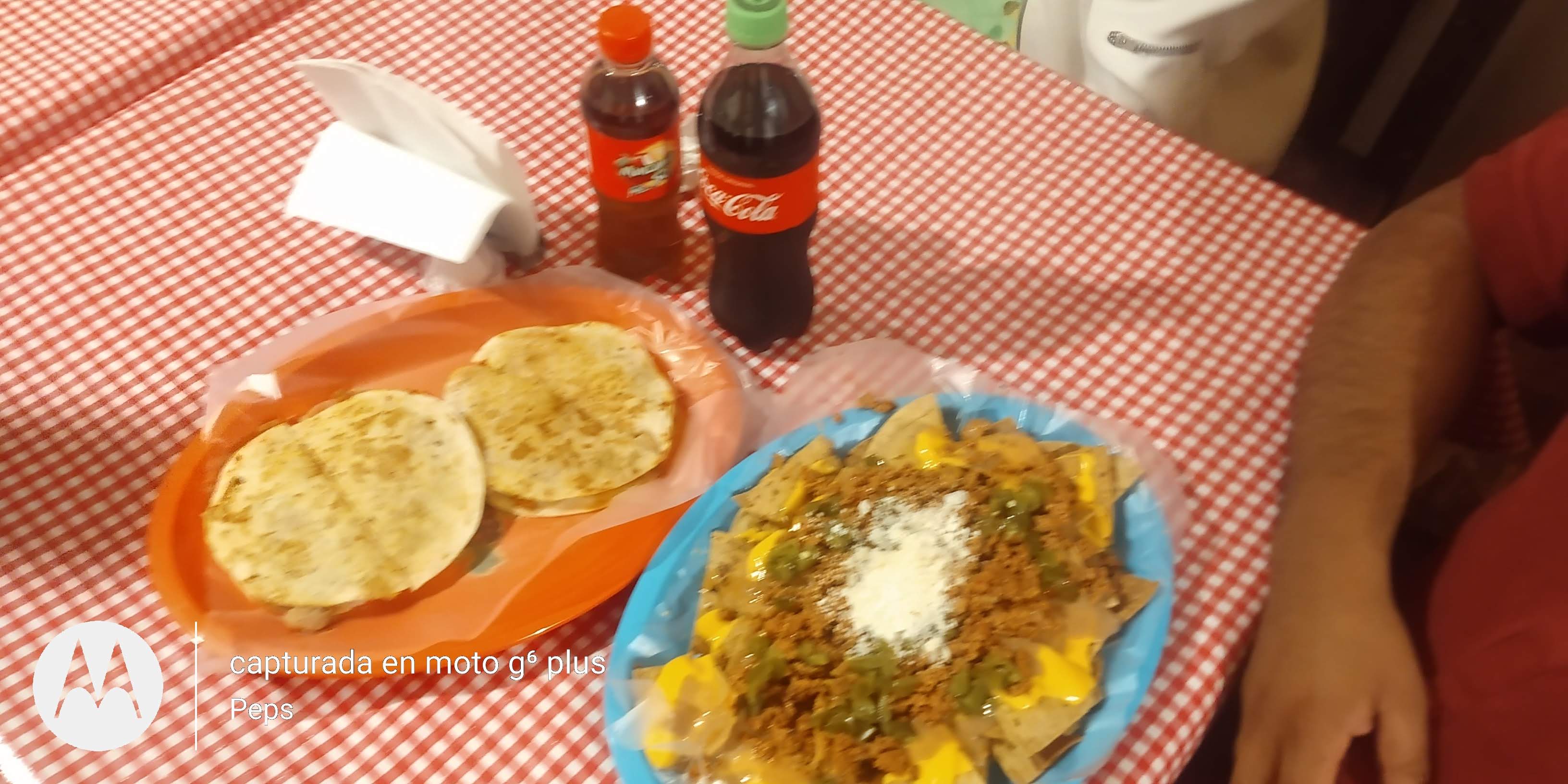 Los Canarios de Pepe" image 4