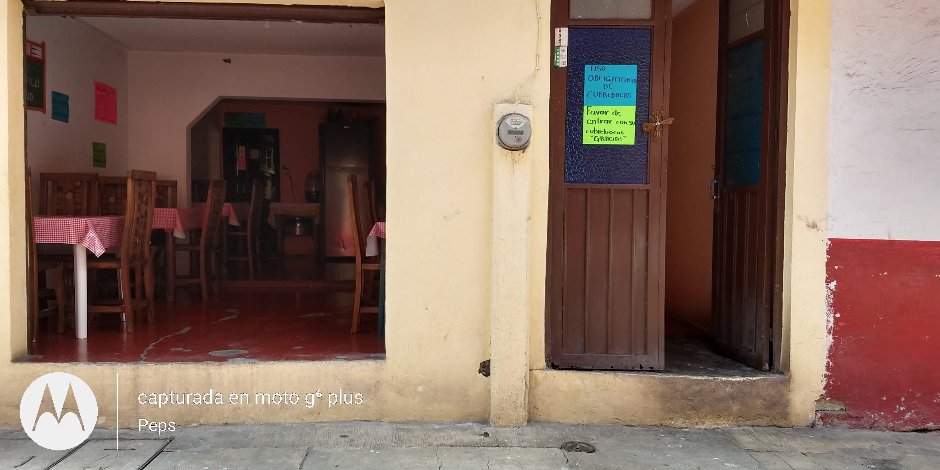 Los Canarios de Pepe" image 7