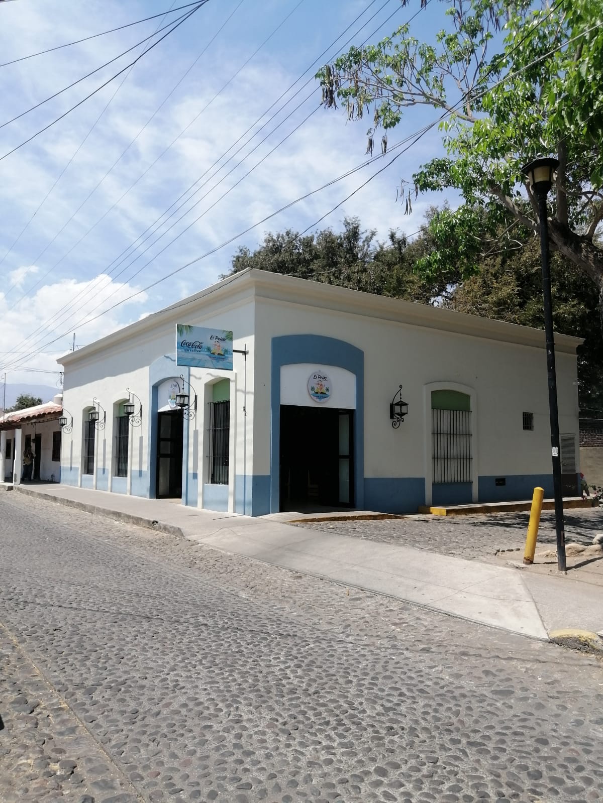 El Peláo Camarón image 2