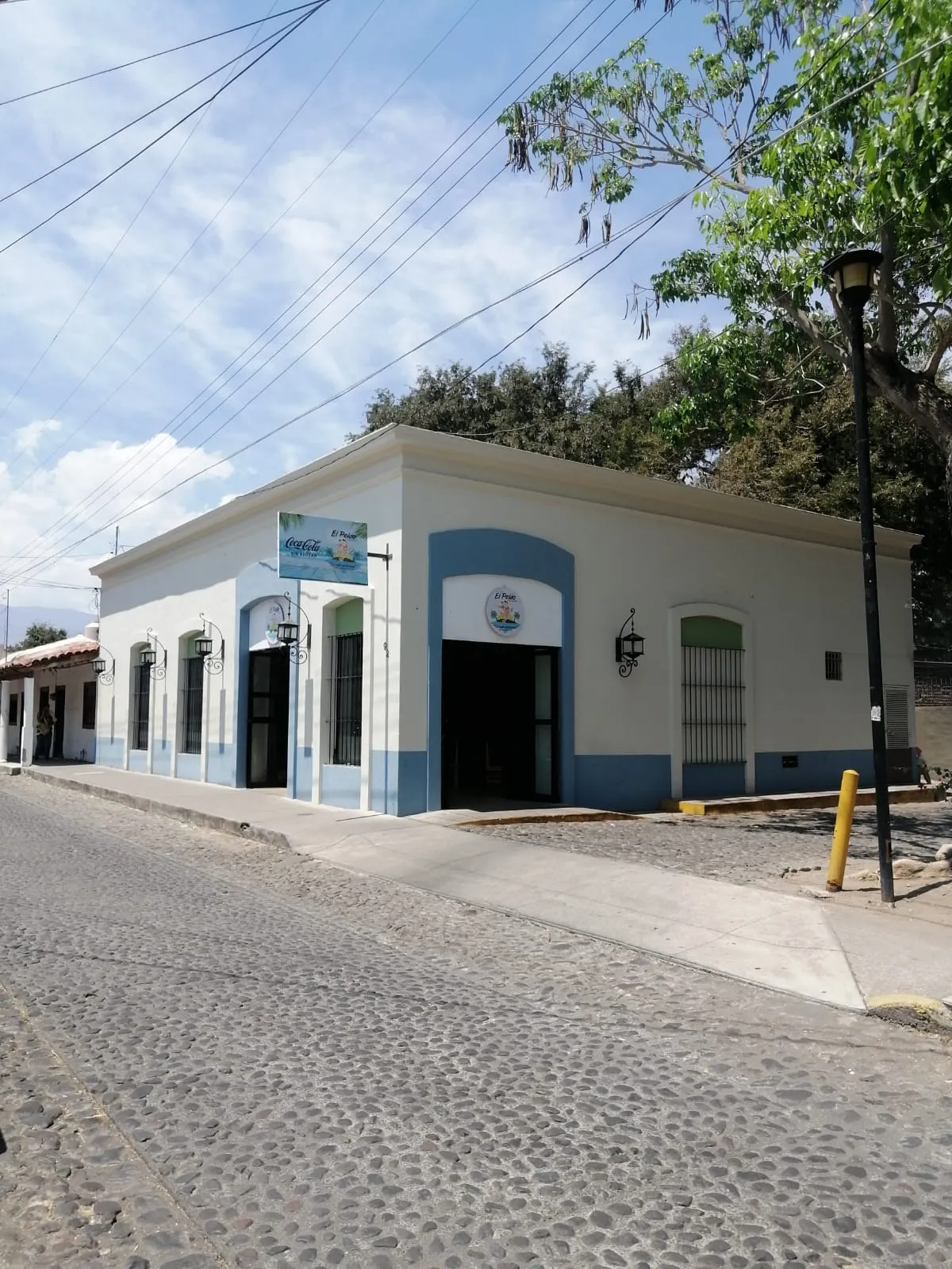 El Peláo Camarón image 2