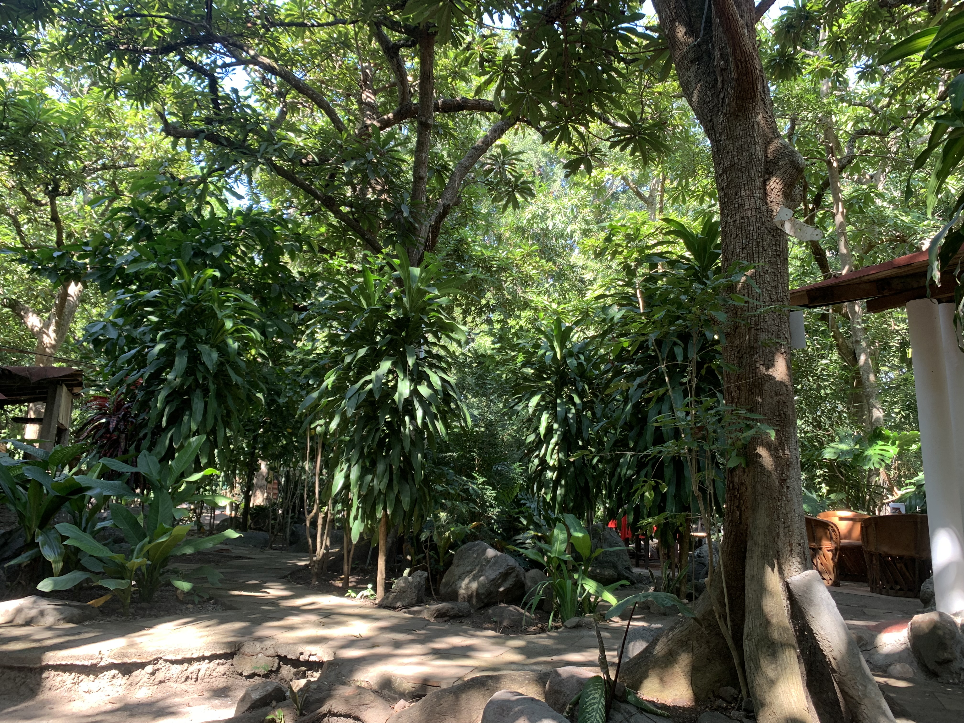 RAICES Sazón y Sabores image 5