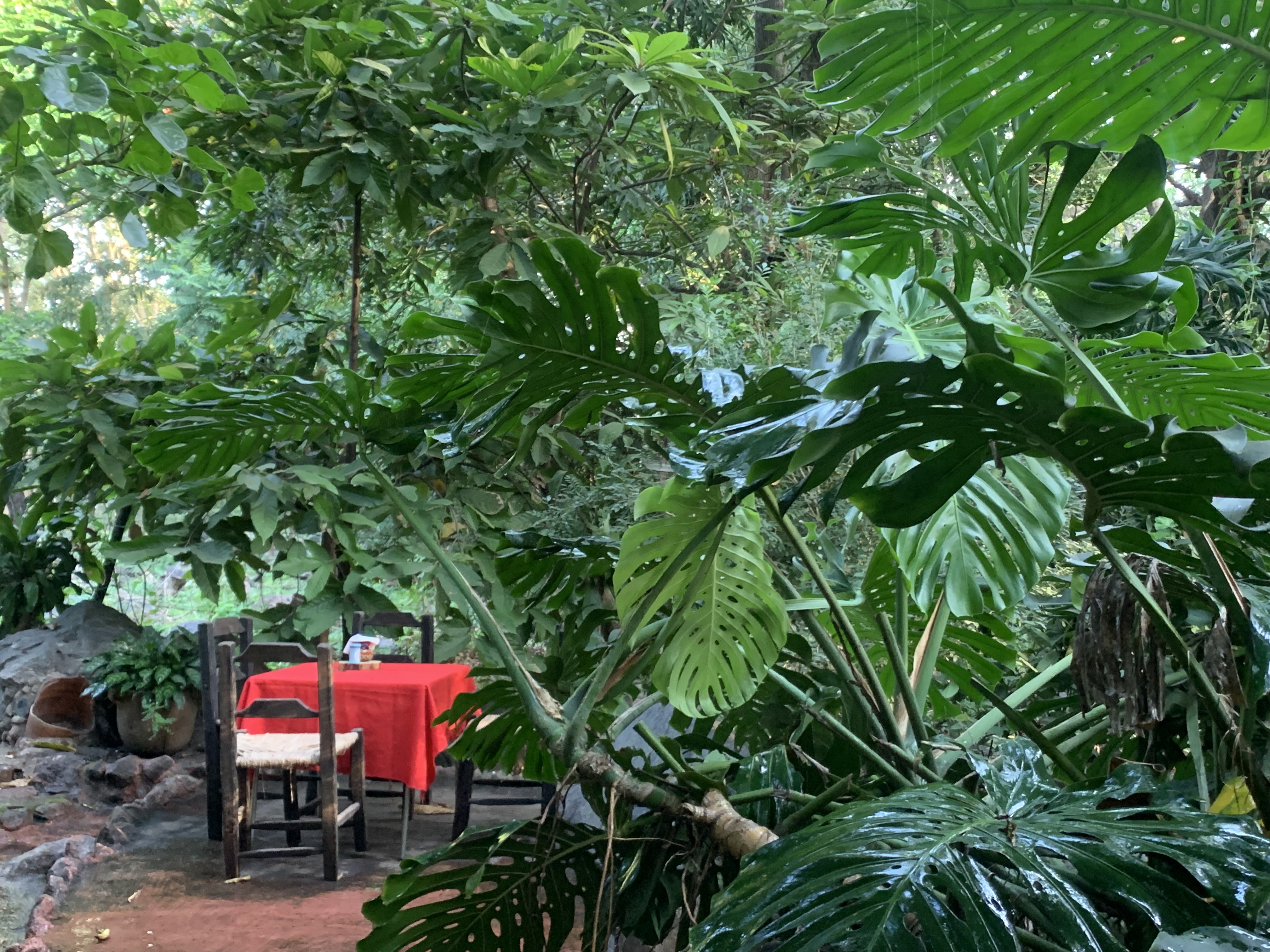 RAICES Sazón y Sabores image 7