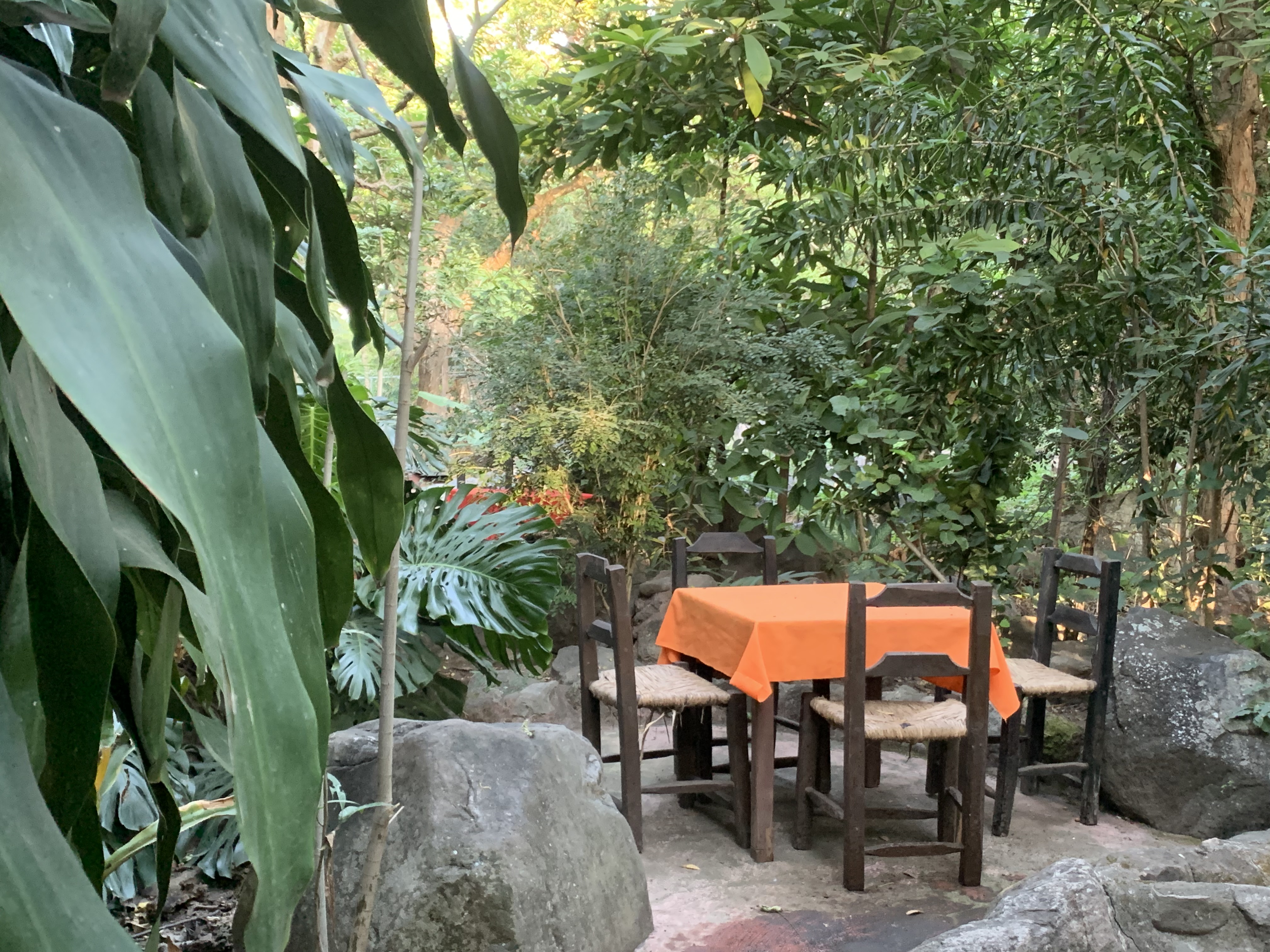 RAICES Sazón y Sabores image 10